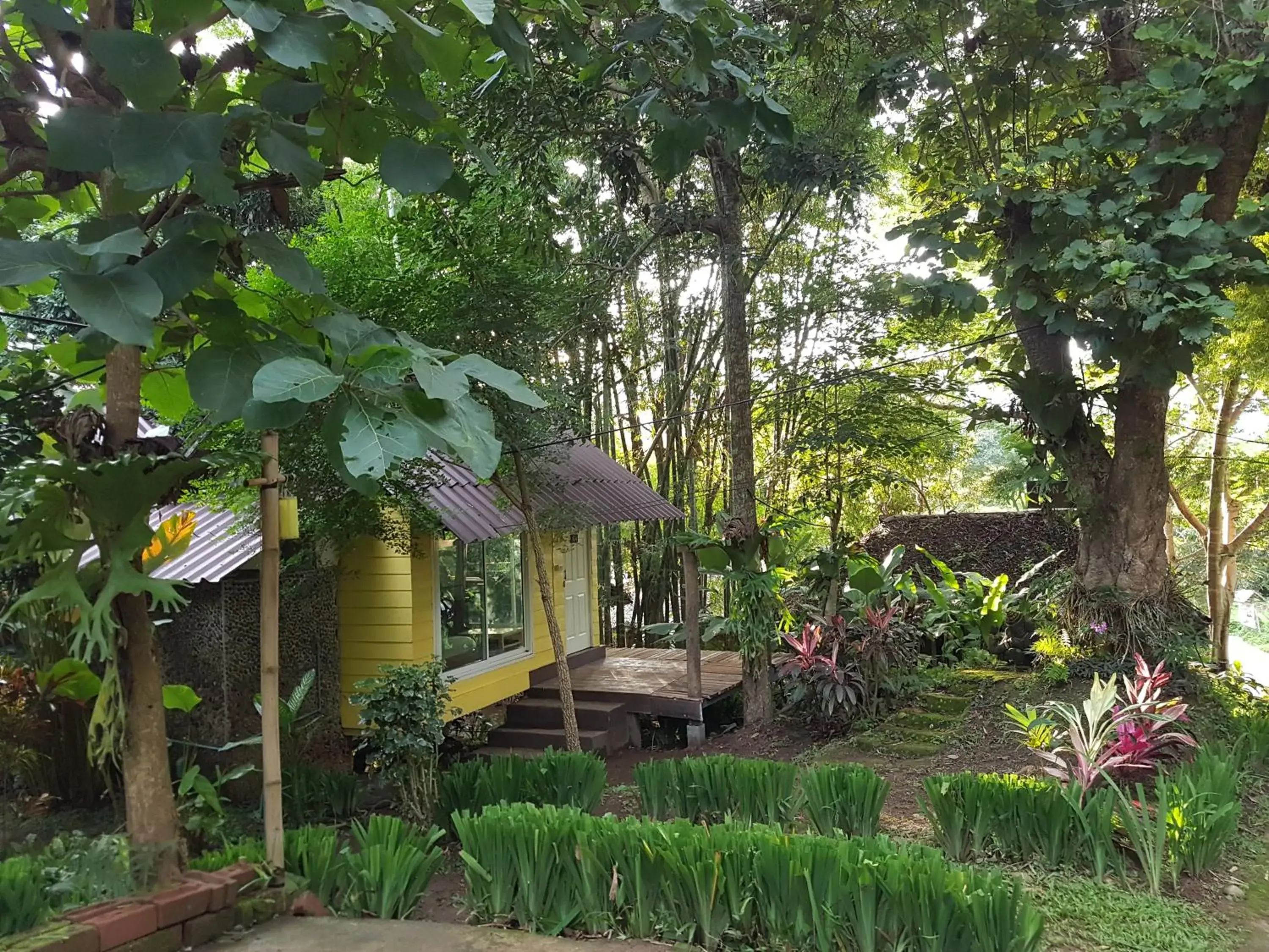 Photo of the whole room, Property Building in Chang Pai Resort