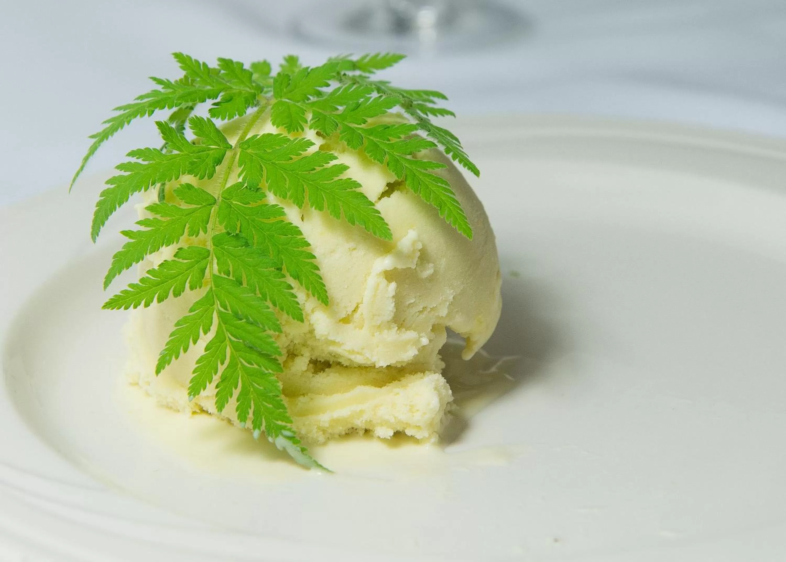 Food in Telegraph House Motel