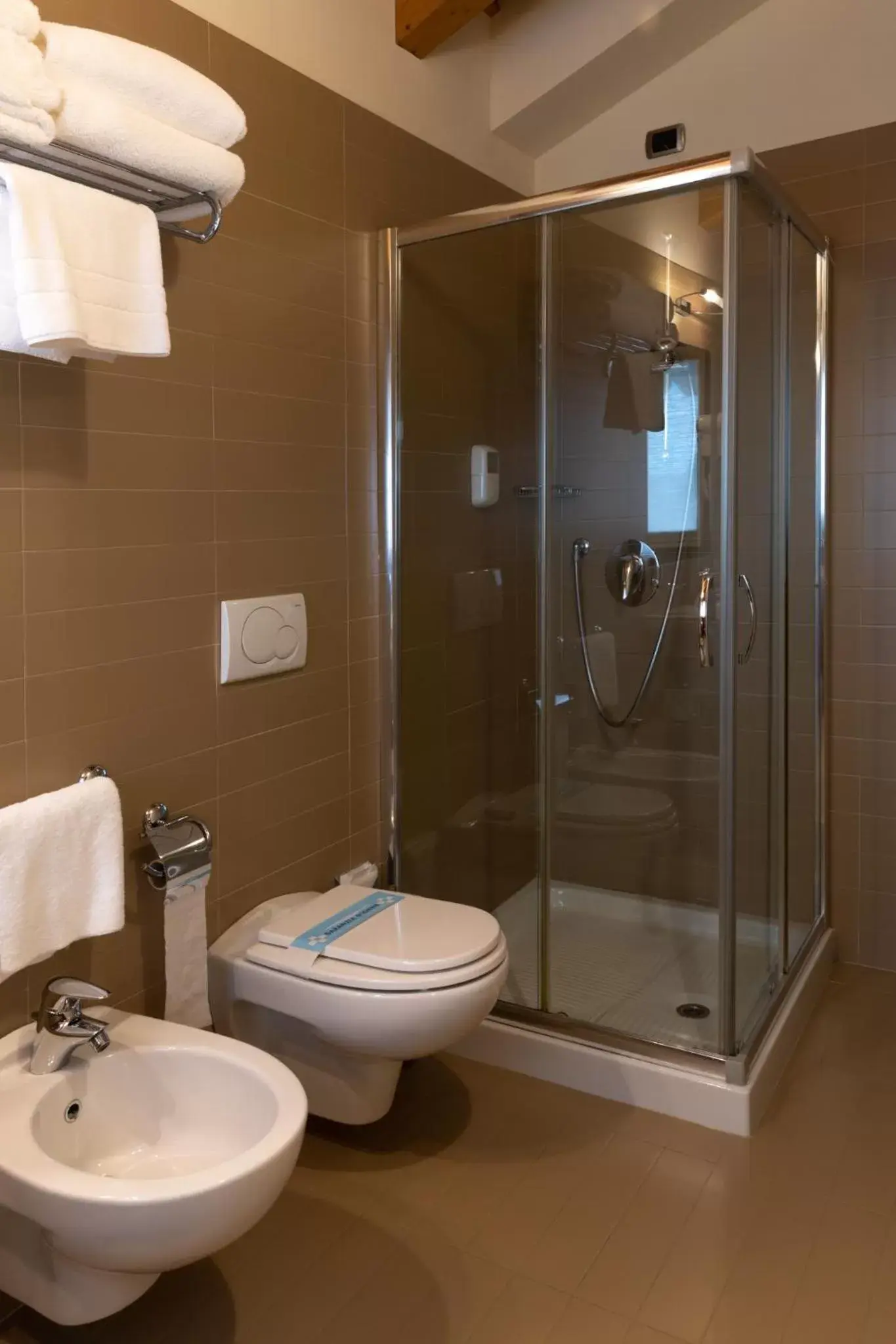 Shower, Bathroom in Hotel Locanda Al Sole
