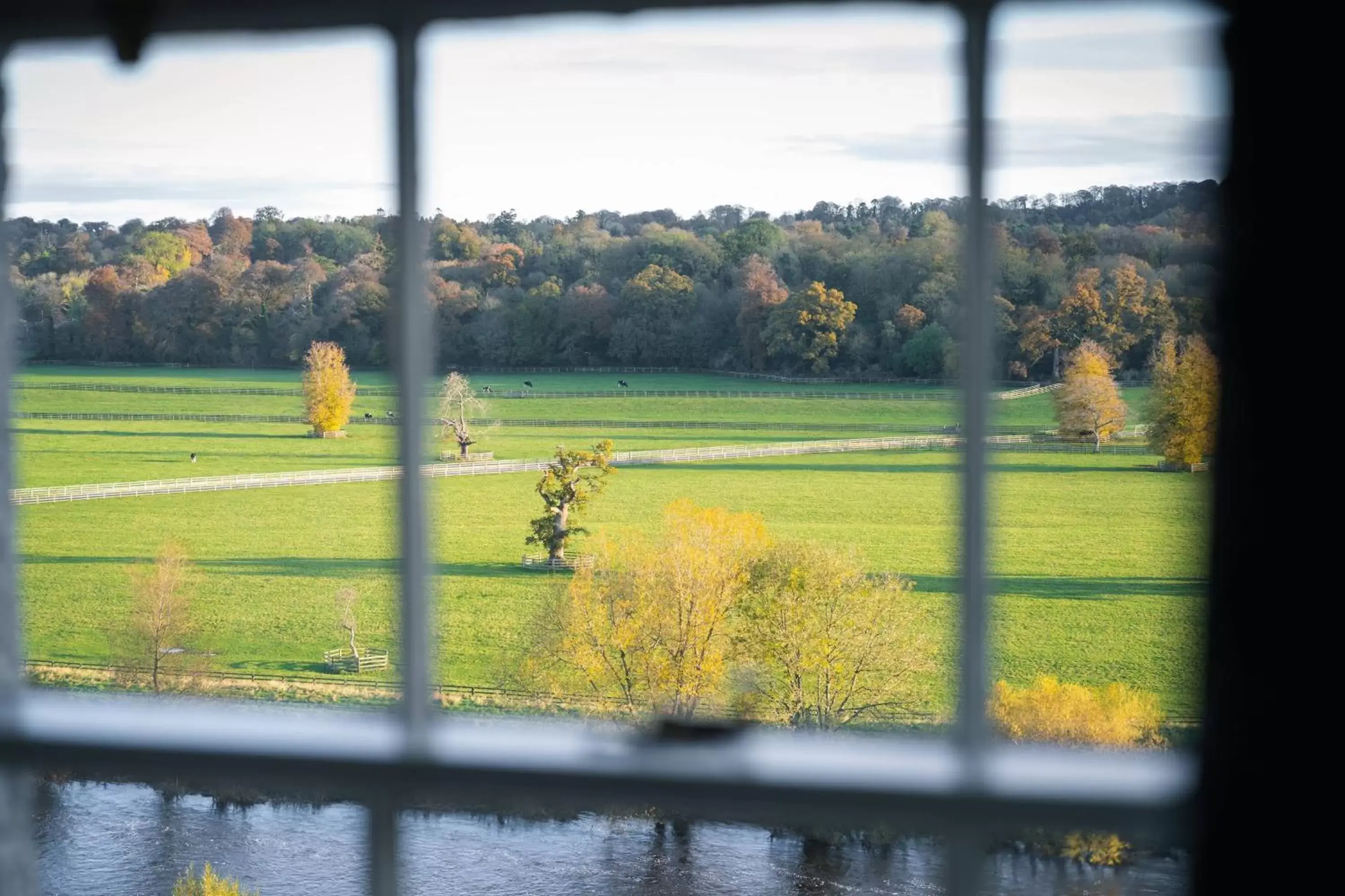 Photo of the whole room in Mount Juliet Estate, Autograph Collection