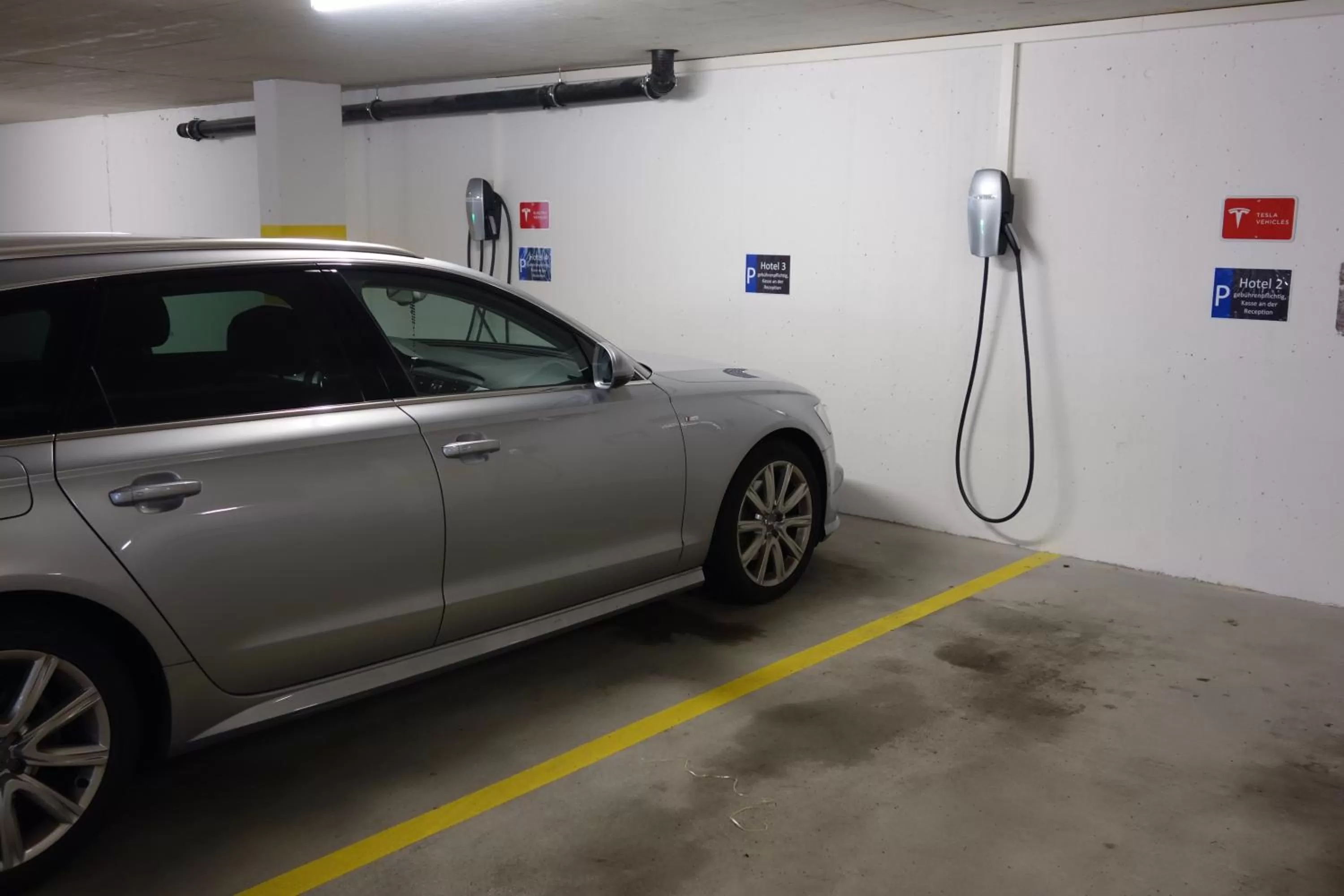 Area and facilities in Hotel Birdlodge