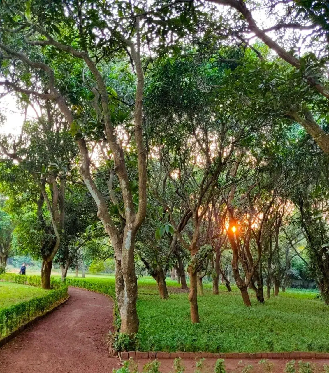 Garden view, Garden in Trident Bhubaneswar