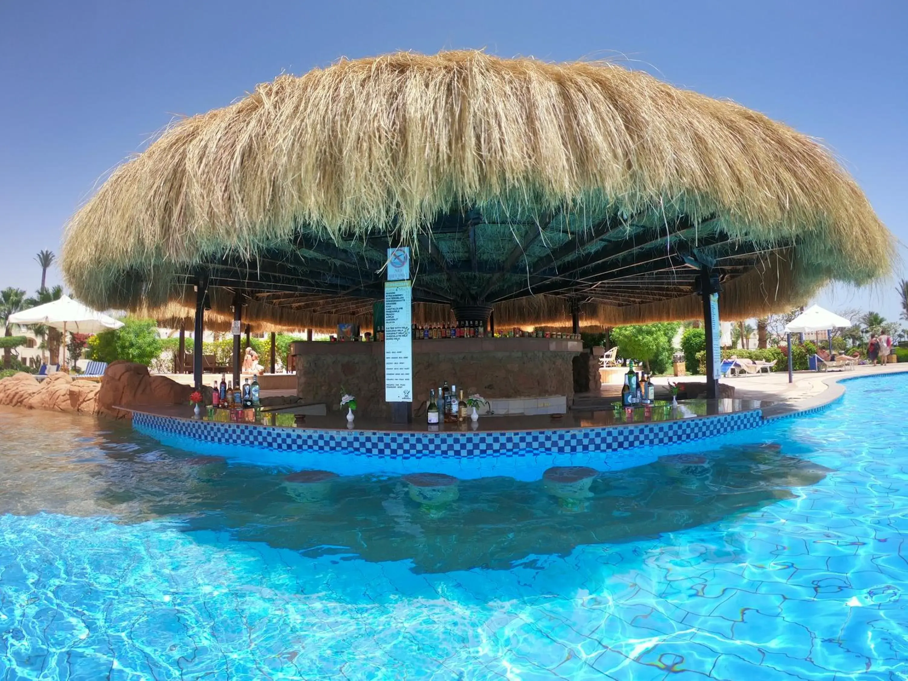 Lounge or bar, Swimming Pool in Regency Plaza Aqua Park and Spa Resort