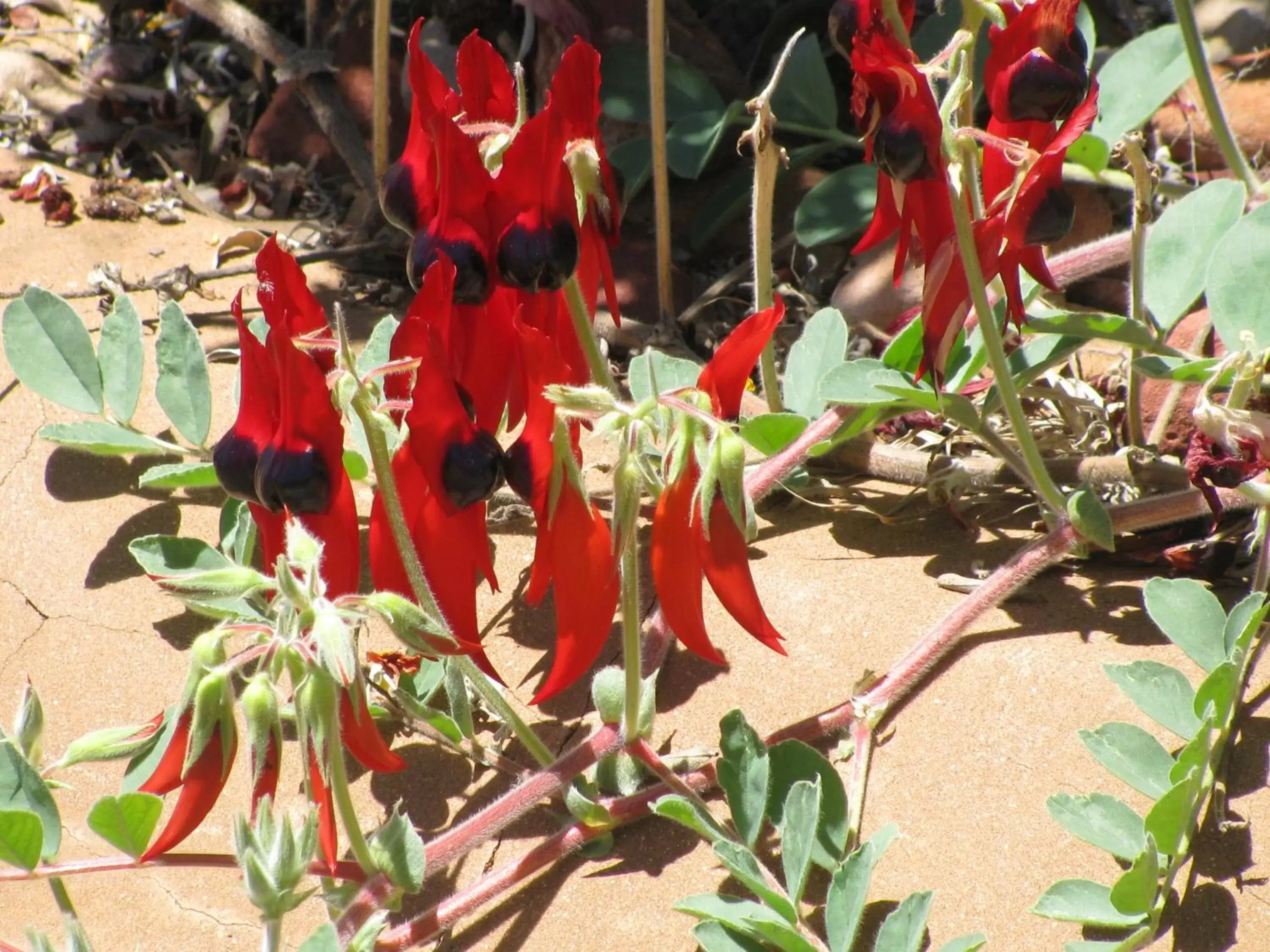 Natural landscape in Kathys Place Bed and Breakfast