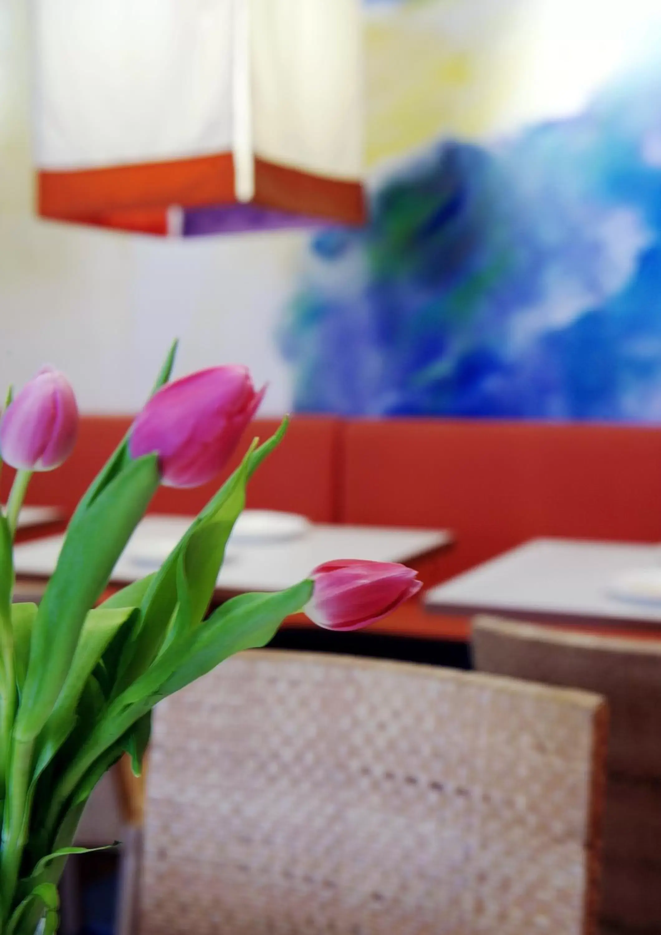 Restaurant/places to eat in 1st Creatif Hotel Elephant Restaurant/places to eat in 1st Creatif Hotel Elephant