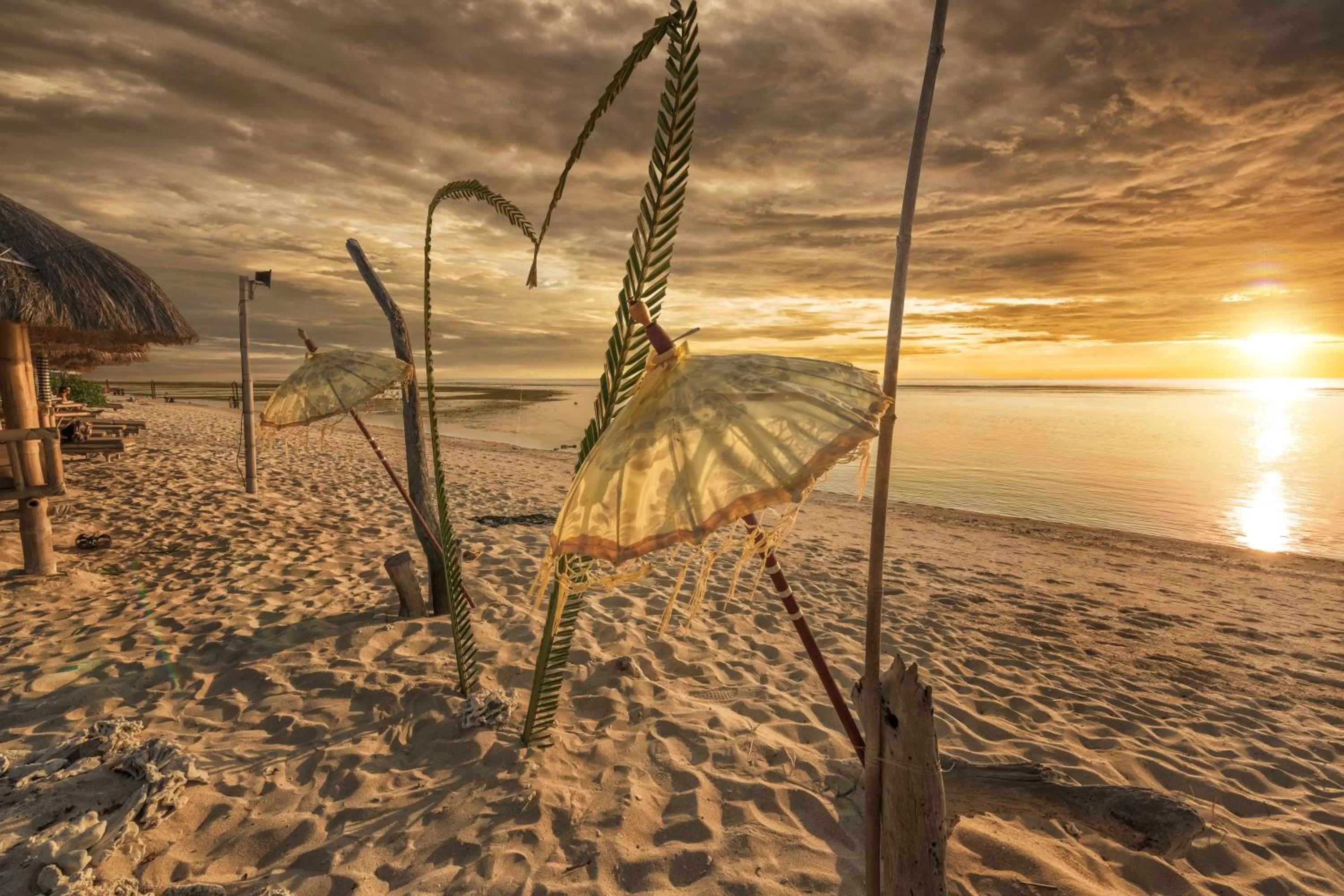 Natural landscape in Mala Garden Resort and Spa