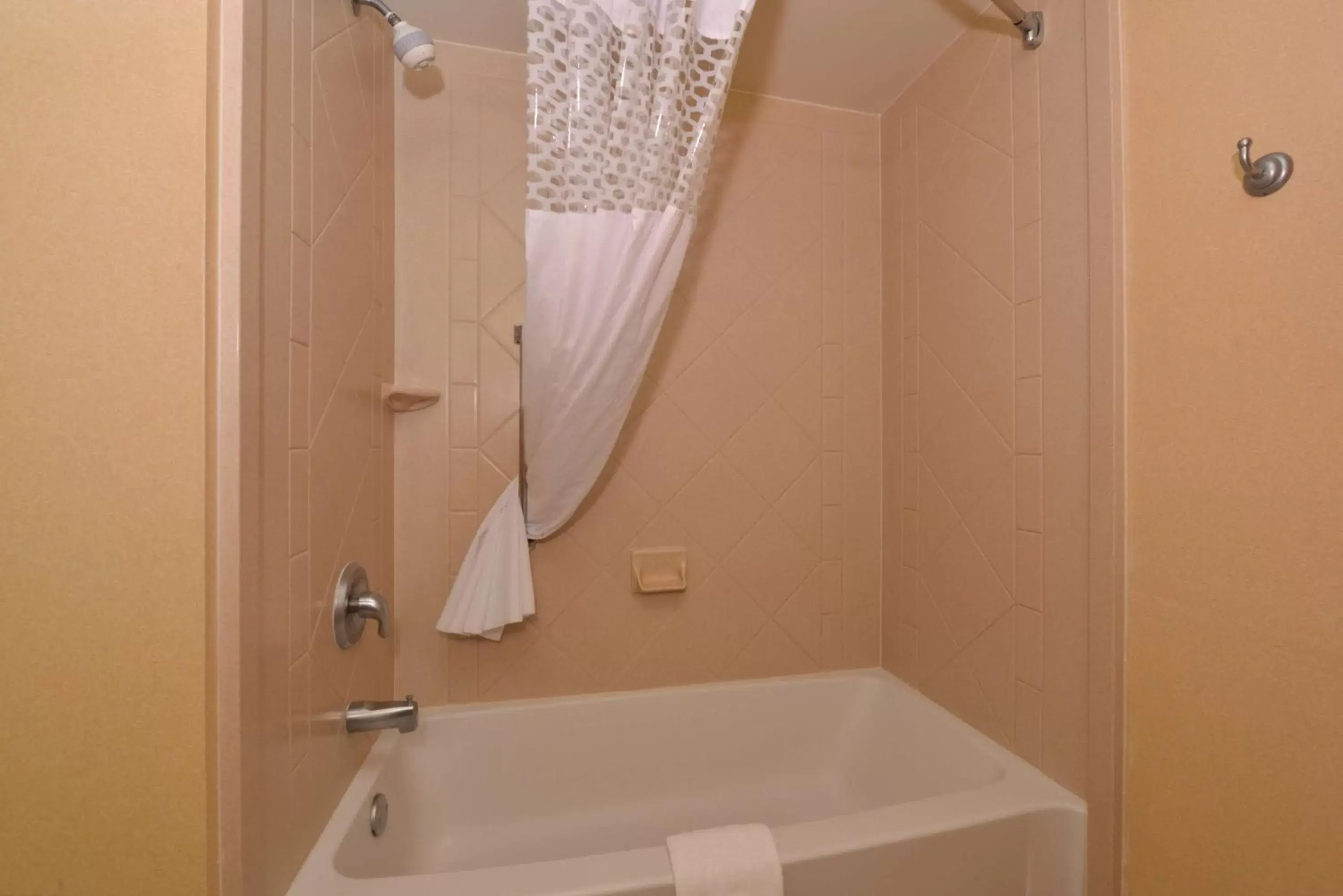 Bathroom in Hampton Inn & Suites Tampa-East/Casino/Fairgrounds