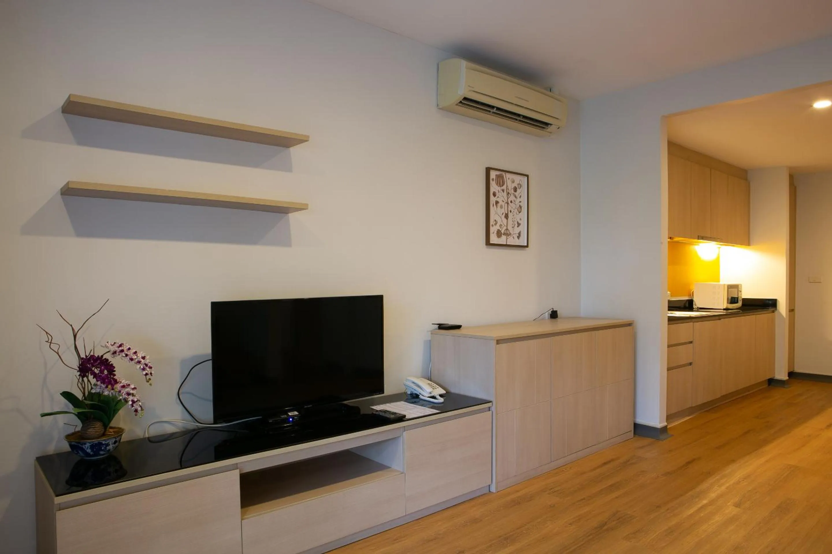 TV and multimedia in The Silver Palm Wellness Resort