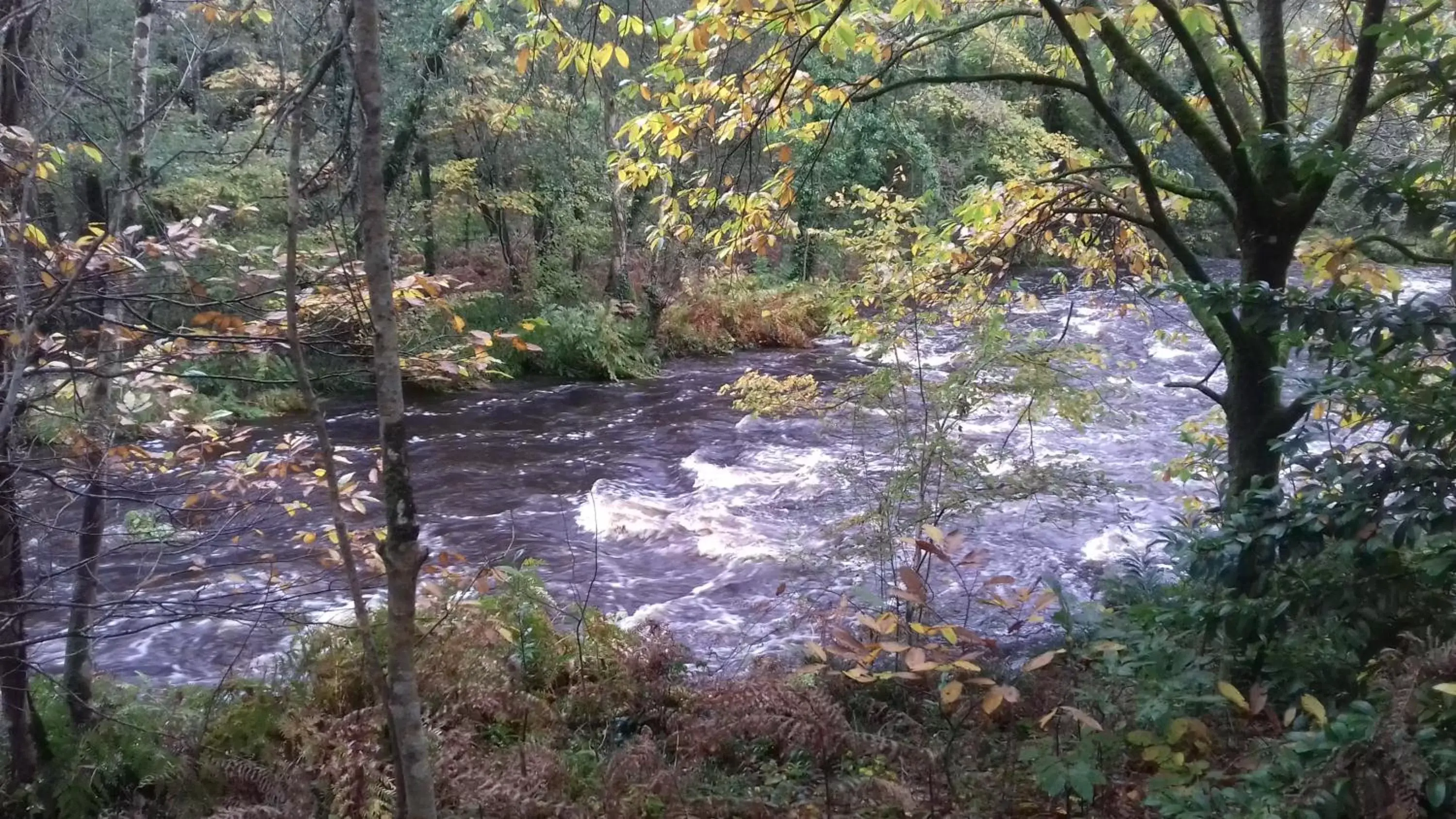 Nearby landmark, Natural Landscape in LES DEUX RIVIERES - Chambres & Table d'Hôtes -