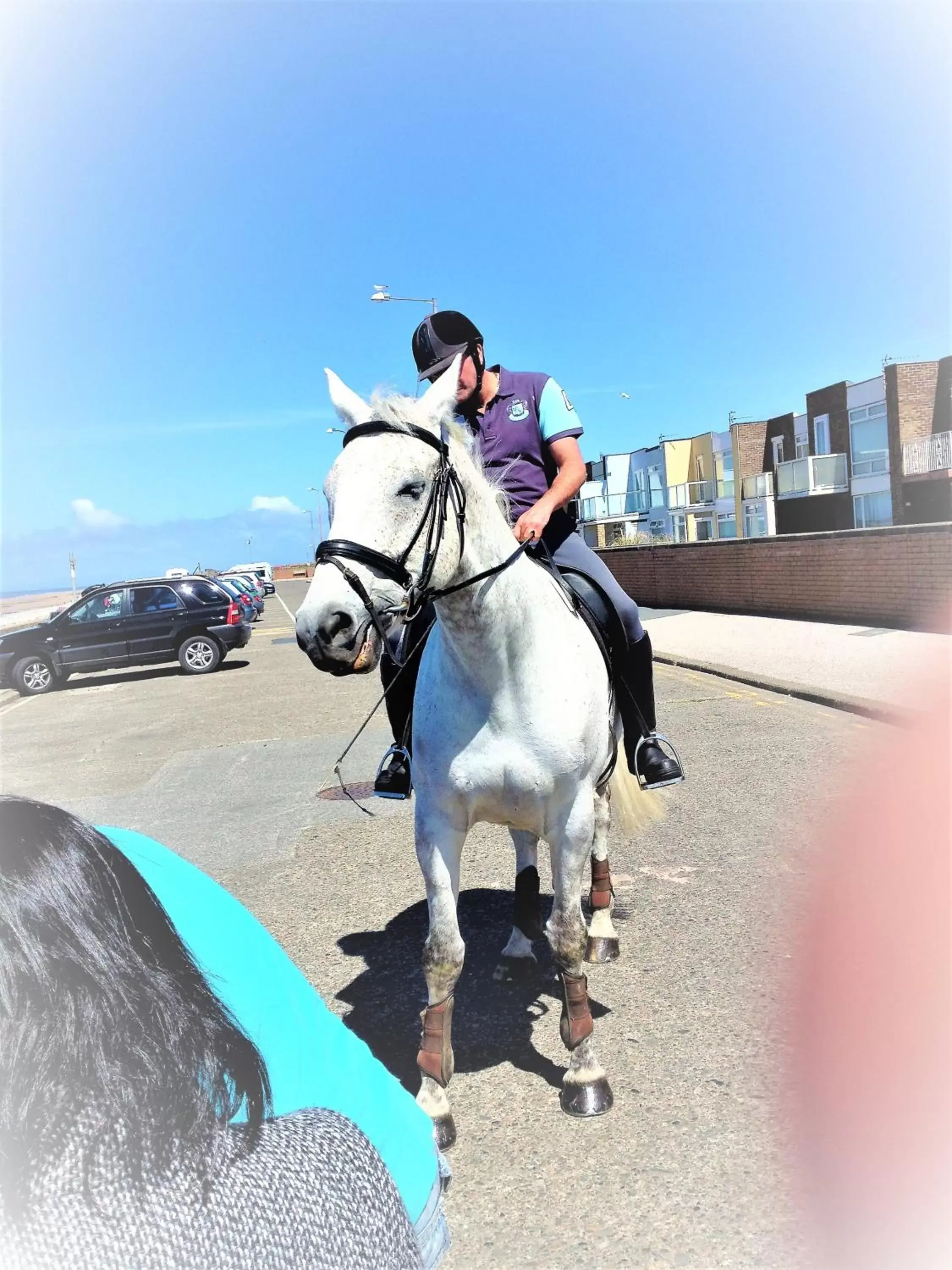 Horse-riding, Horseback Riding in Lyndhurst Hotel