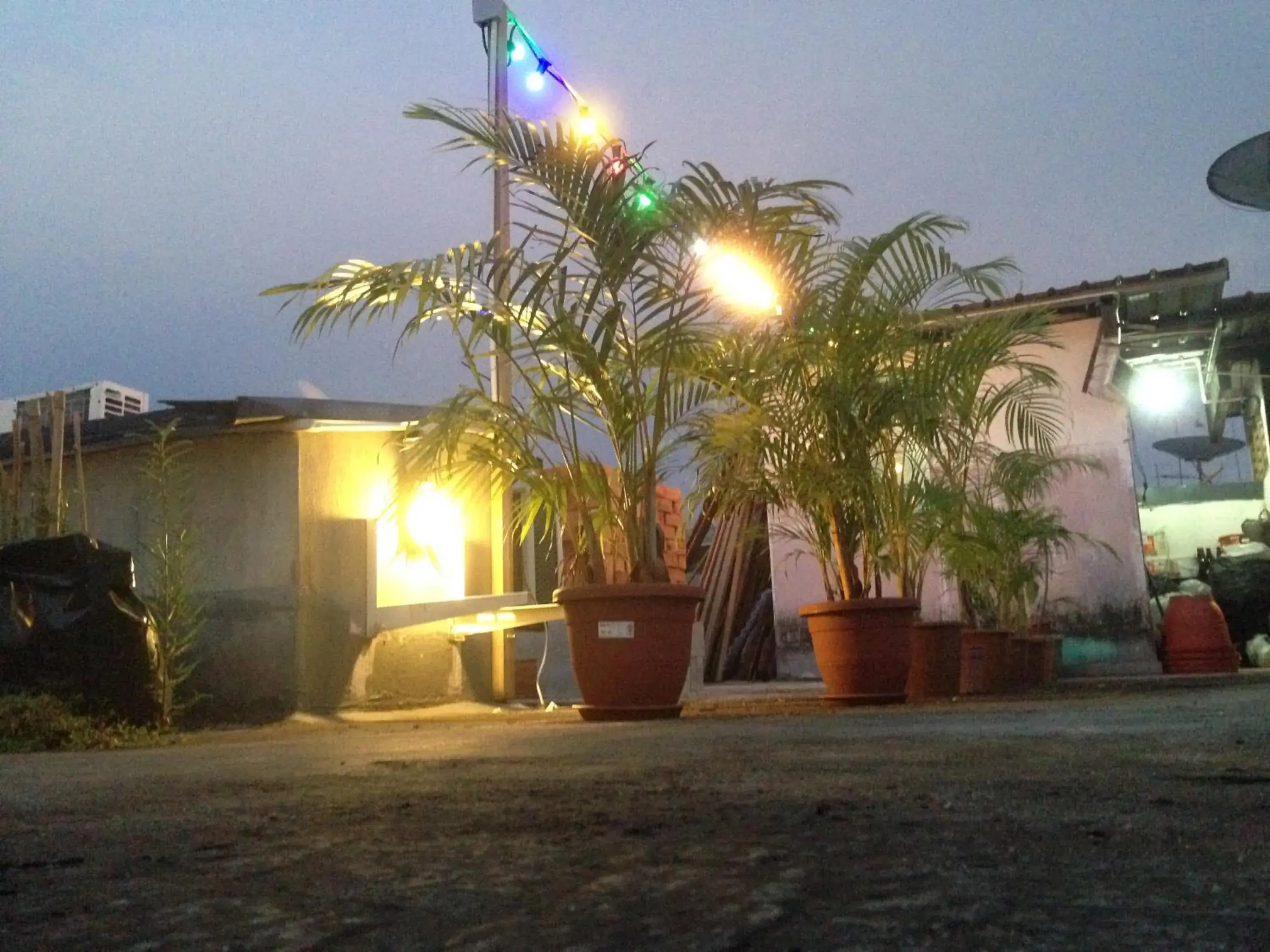 Patio, Property Building in Woodpecker Lodge