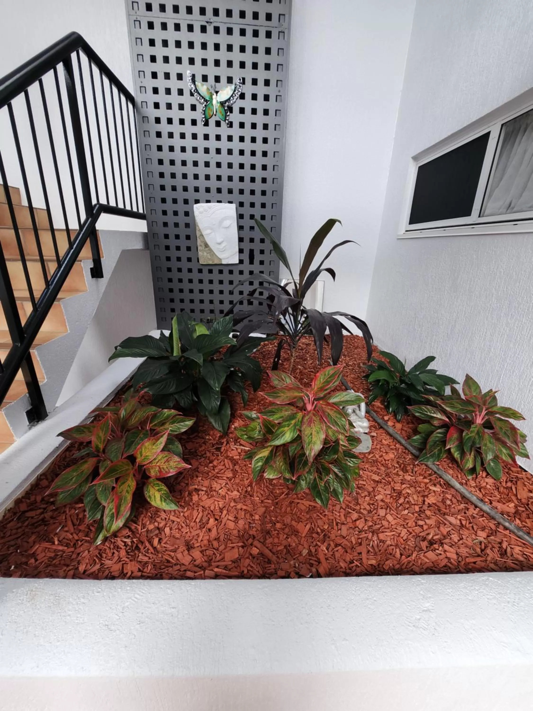 Garden in Villa Vaucluse Apartments