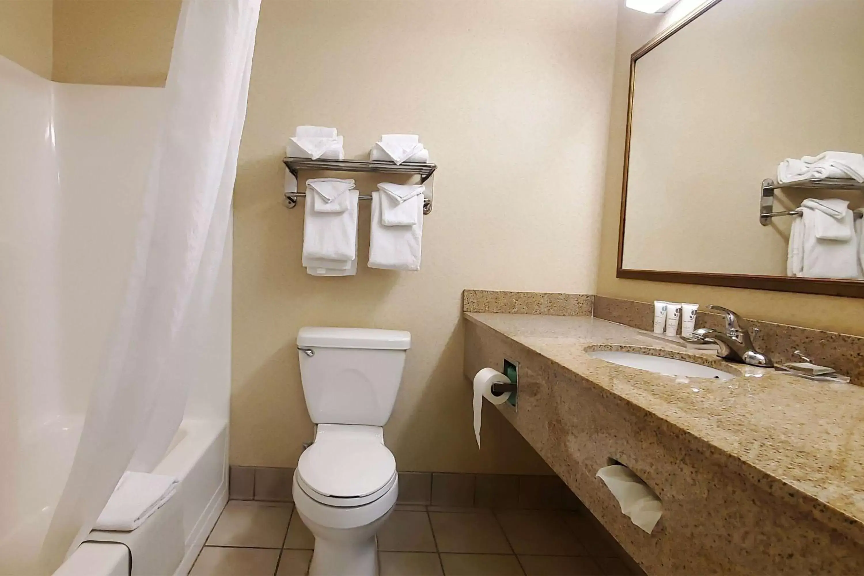 Shower, Bathroom in Wingate by Wyndham Youngstown - Austintown