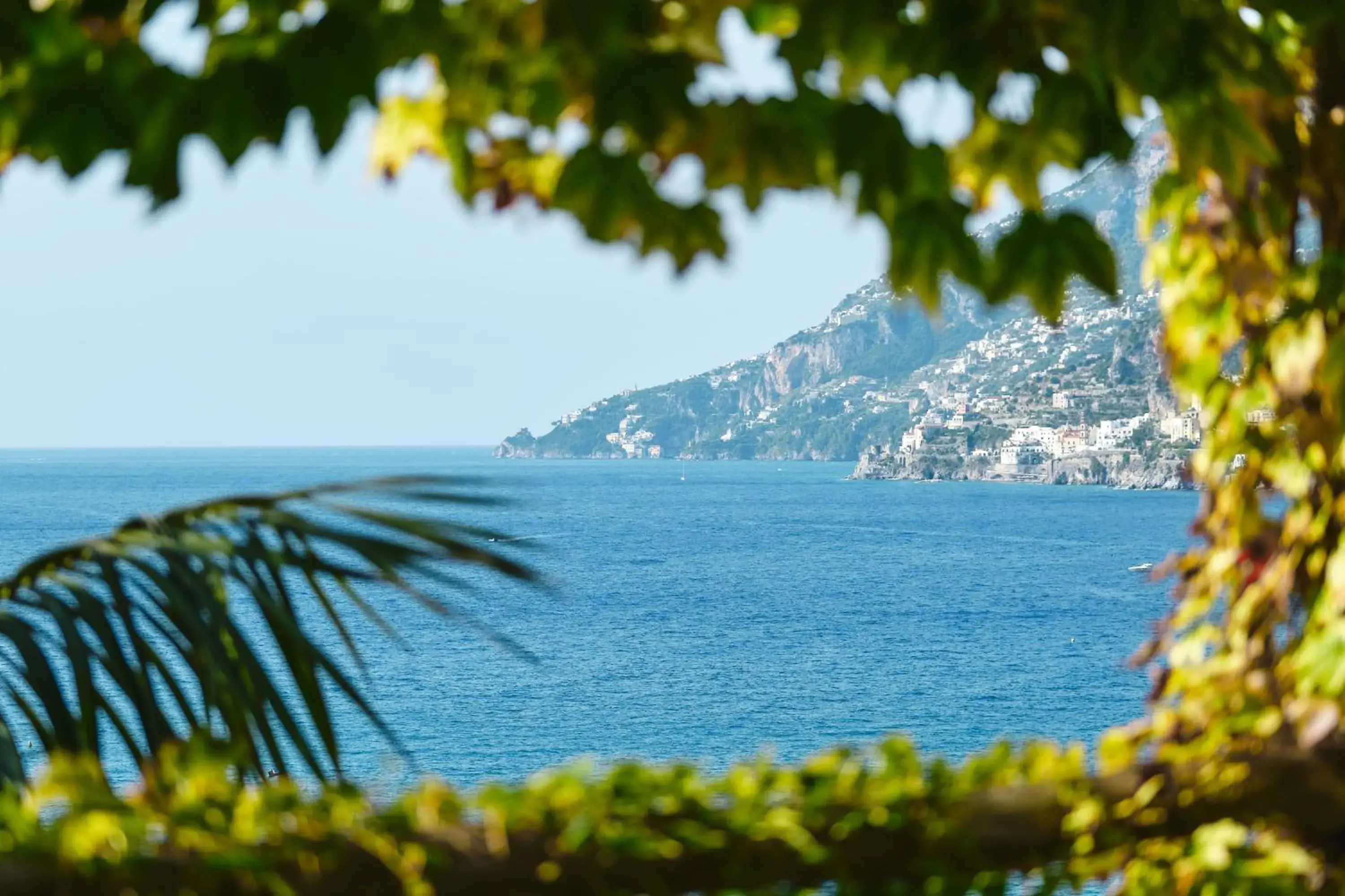 View (from property/room) in Hotel Botanico San Lazzaro View (from property/room) in Hotel Botanico San Lazzaro