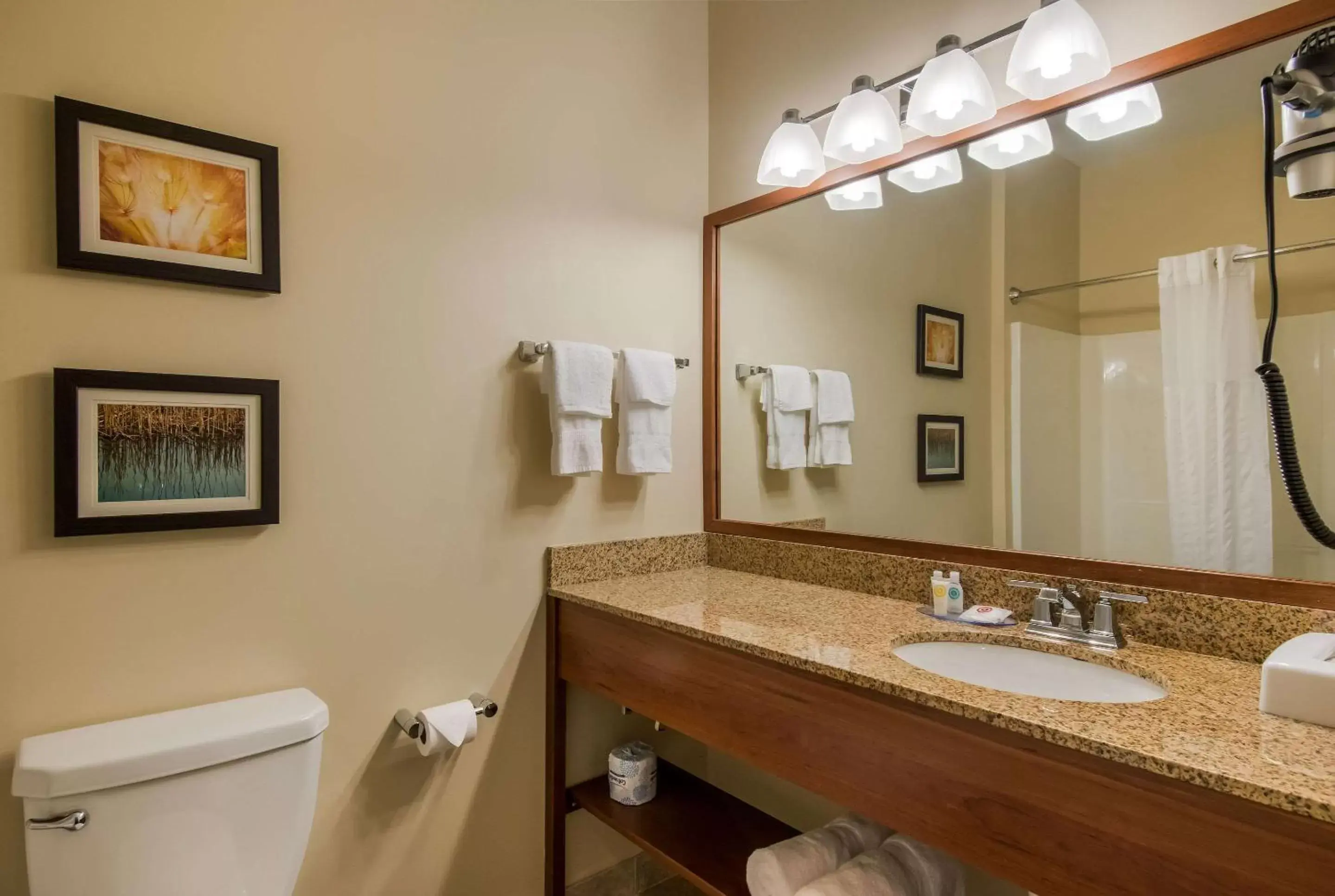 Bedroom, Bathroom in Comfort Inn & Suites Barnesville - Frackville