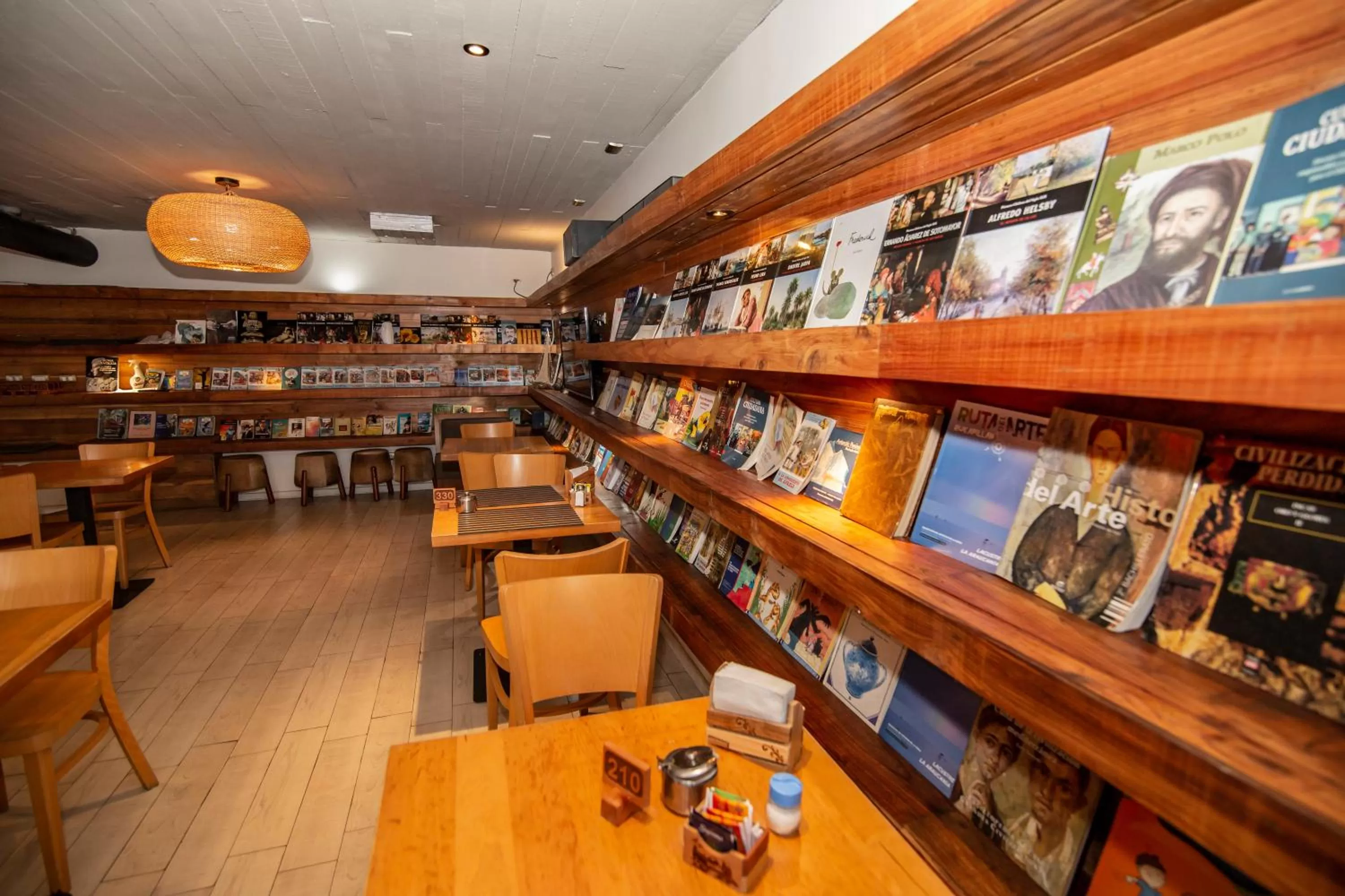 Library in Hotel Cumbres del Sur