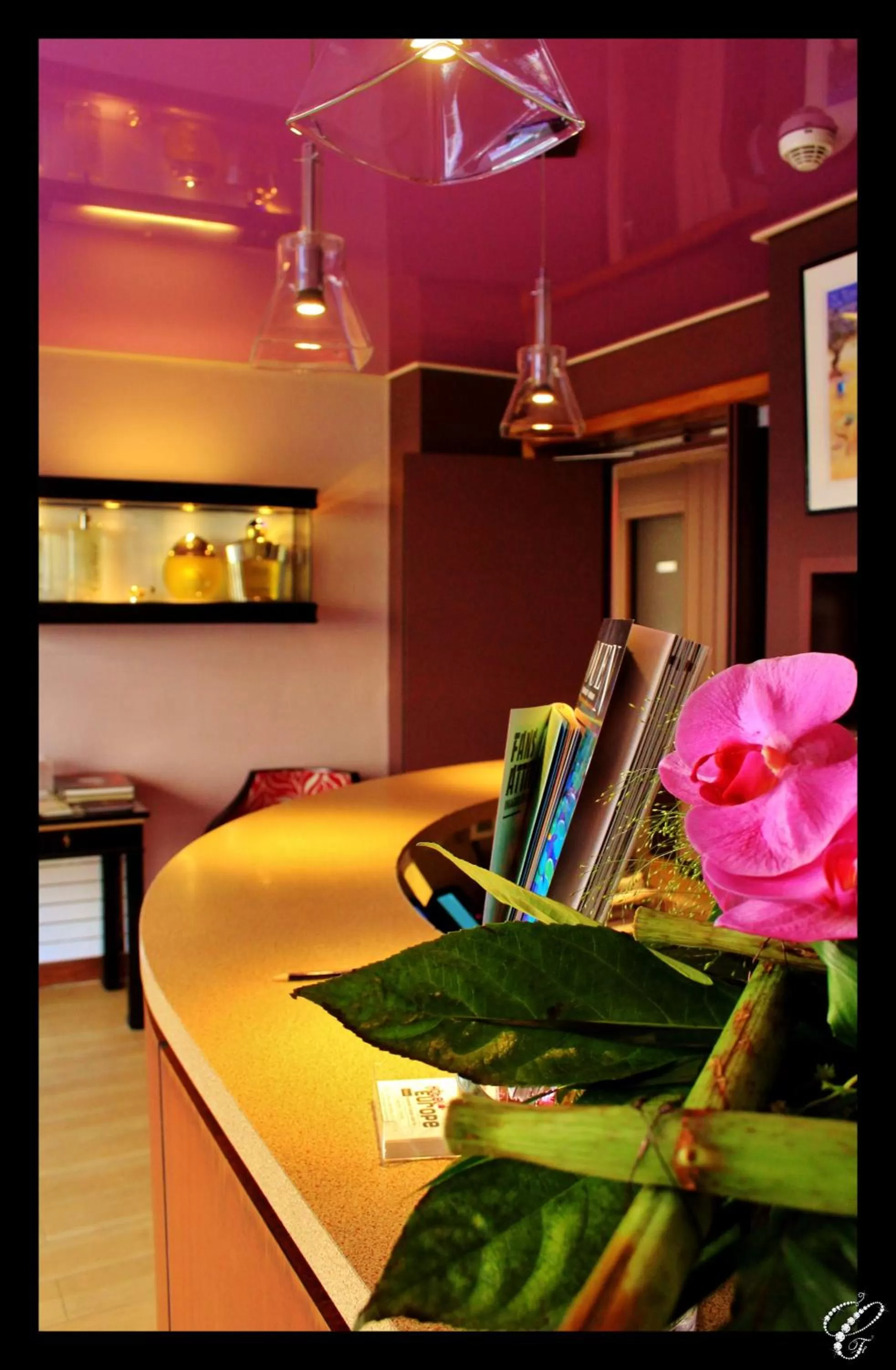 Lobby or reception in Urban Style hotel de l'Europe