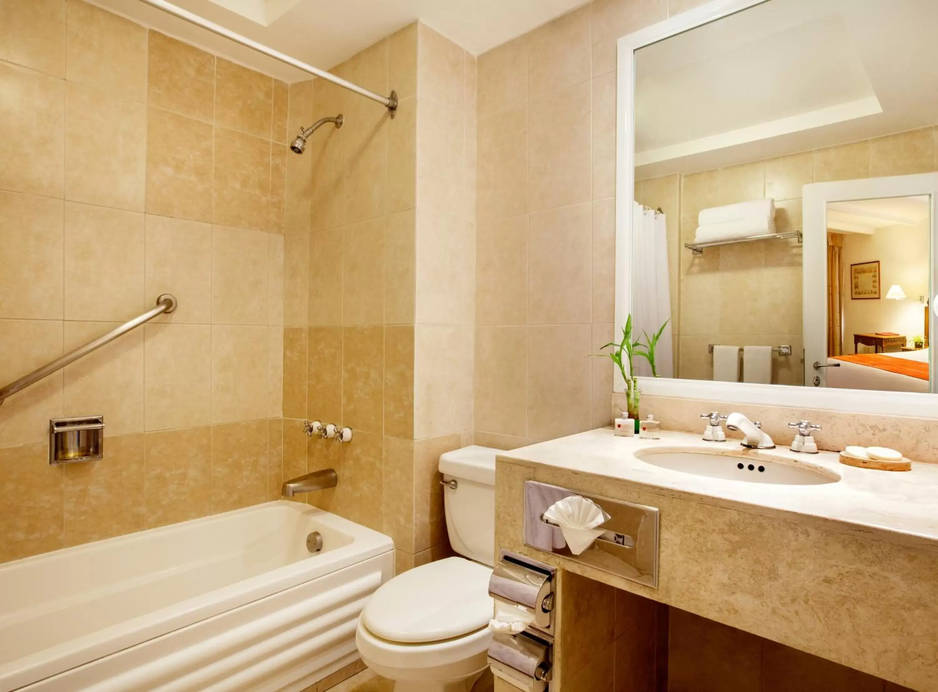 Toilet, Bathroom in Hotel Geneve CD de Mexico