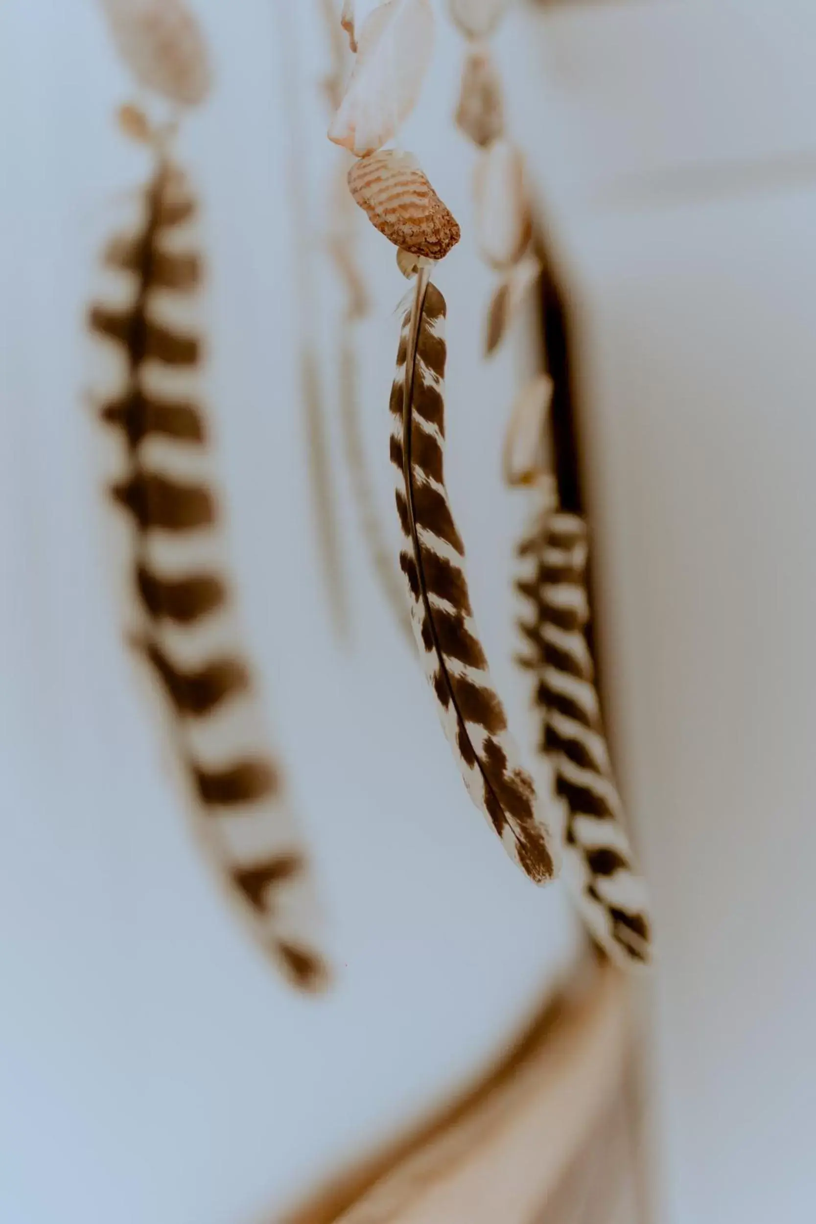 Decorative detail in Zamna eco-lodge Tulum