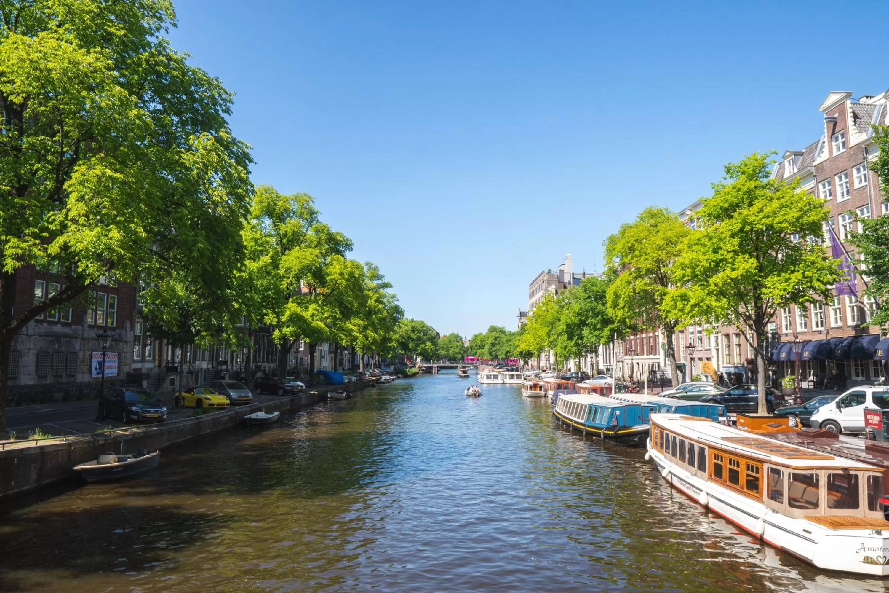 Neighbourhood in Hotel Alexander