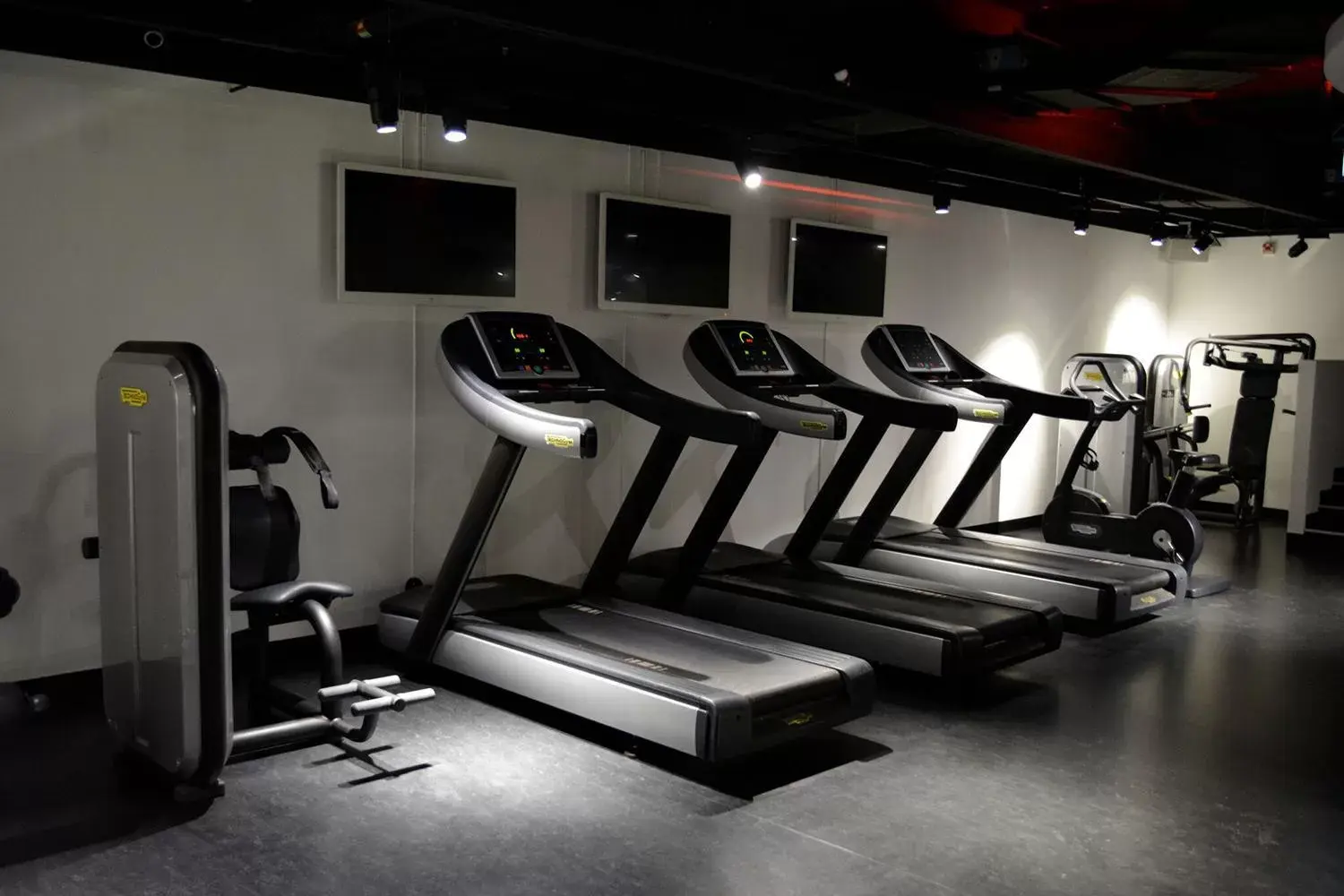 Fitness centre/facilities, Fitness Center/Facilities in Nordic Light Hotel