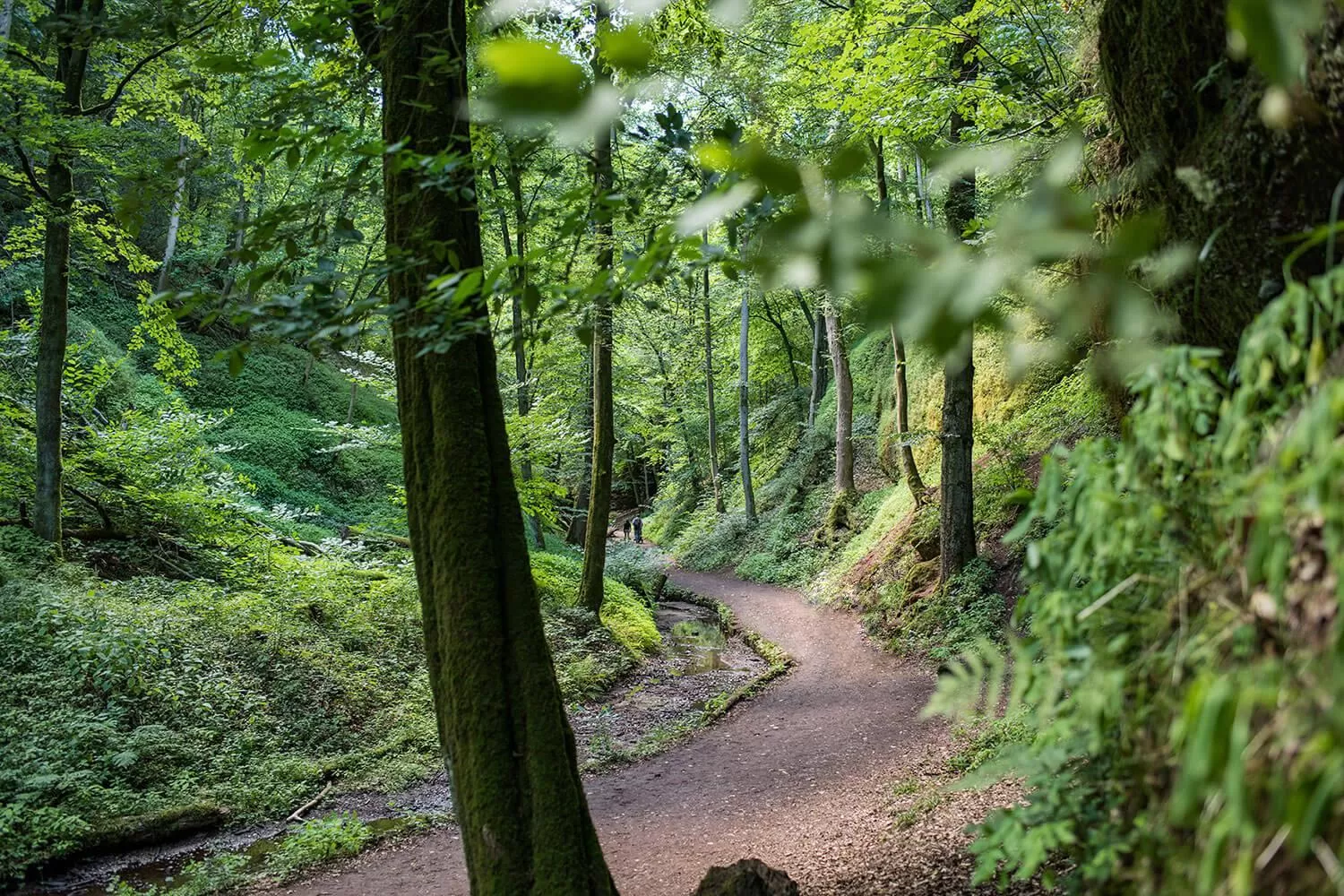 Spring in Suites MITTE - Aparthotel