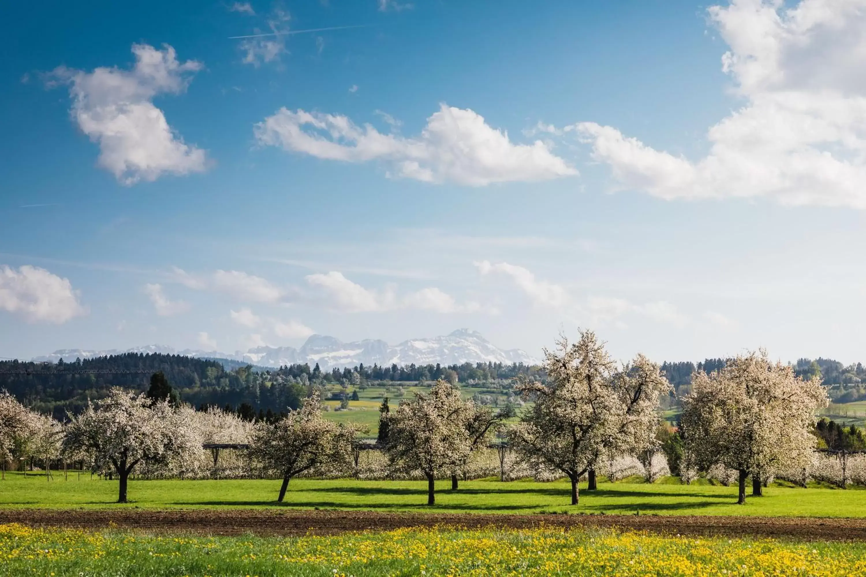 Natural landscape in Hotel de Charme Römerhof