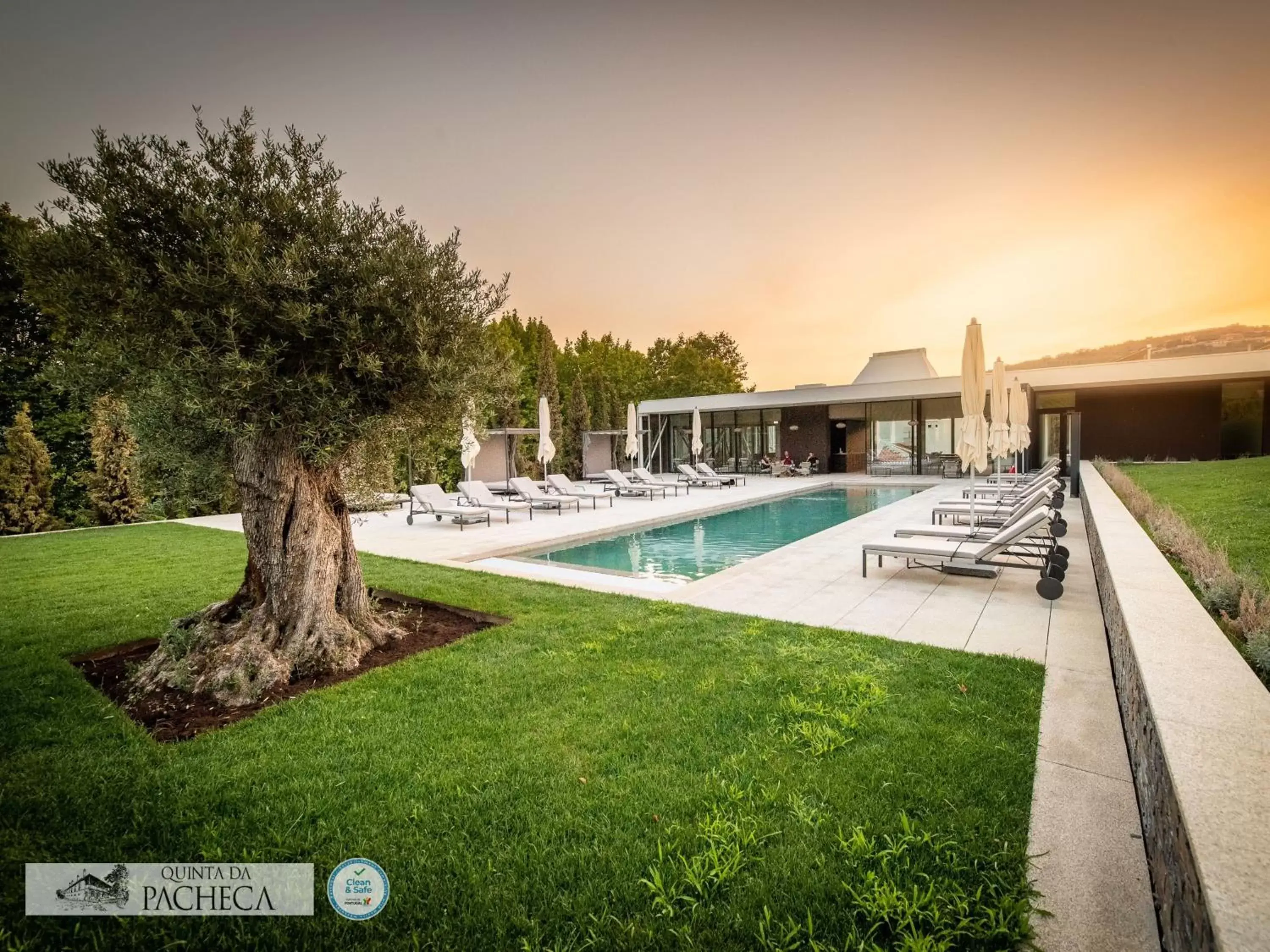 Swimming Pool in The Wine House Hotel - Quinta da Pacheca