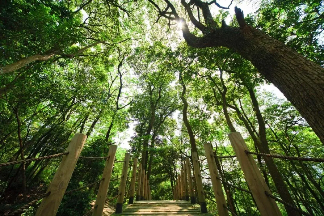 Natural landscape in LIDO FORESTRY SPA RESORT