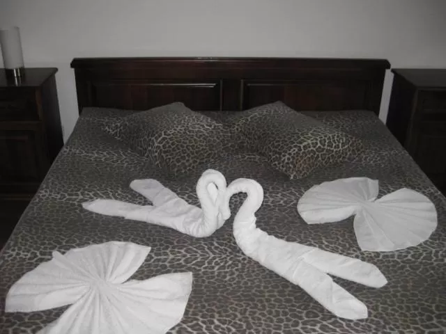 Guesthouse Hitar Petar