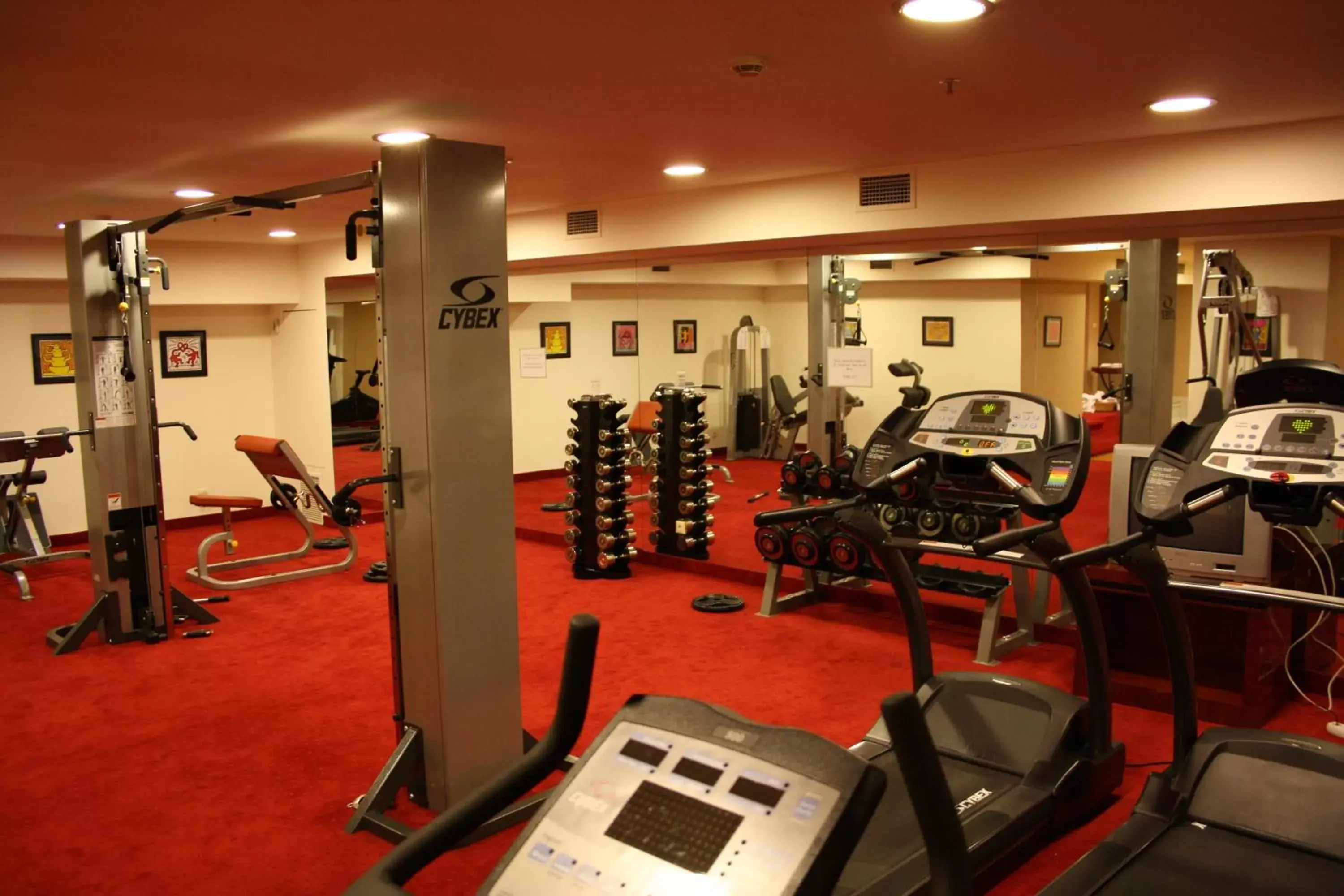 Fitness centre/facilities, Fitness Center/Facilities in Piraeus Theoxenia Hotel