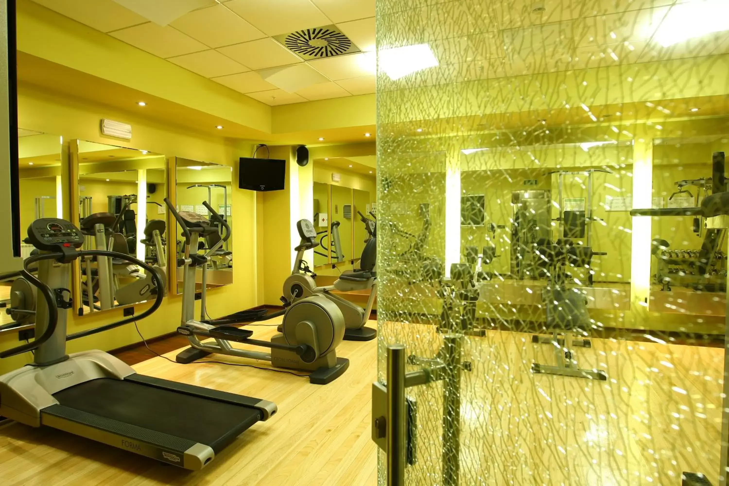 Fitness centre/facilities, Fitness Center/Facilities in Holiday Inn Belgrade, an IHG Hotel