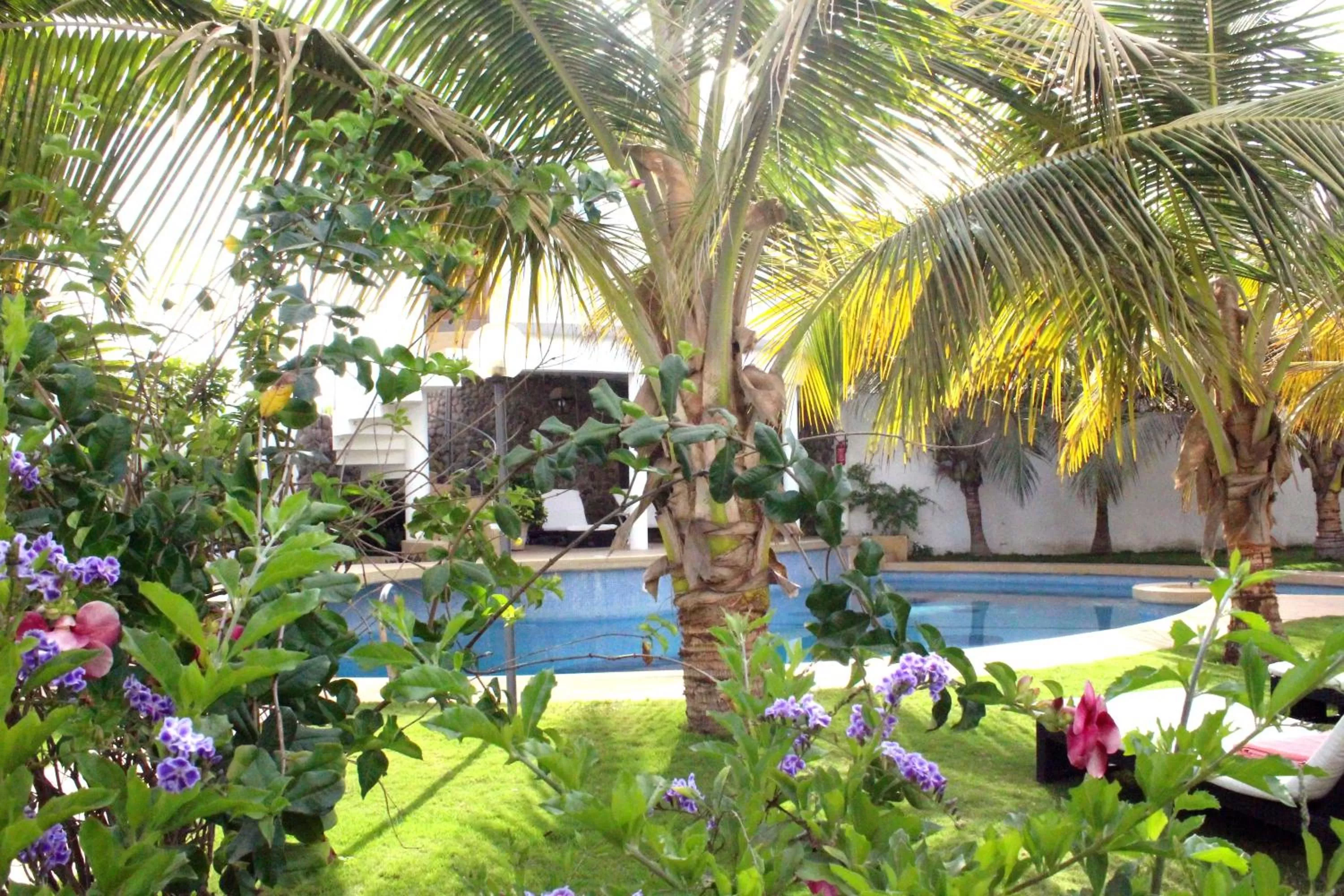 Swimming pool in La Résidence