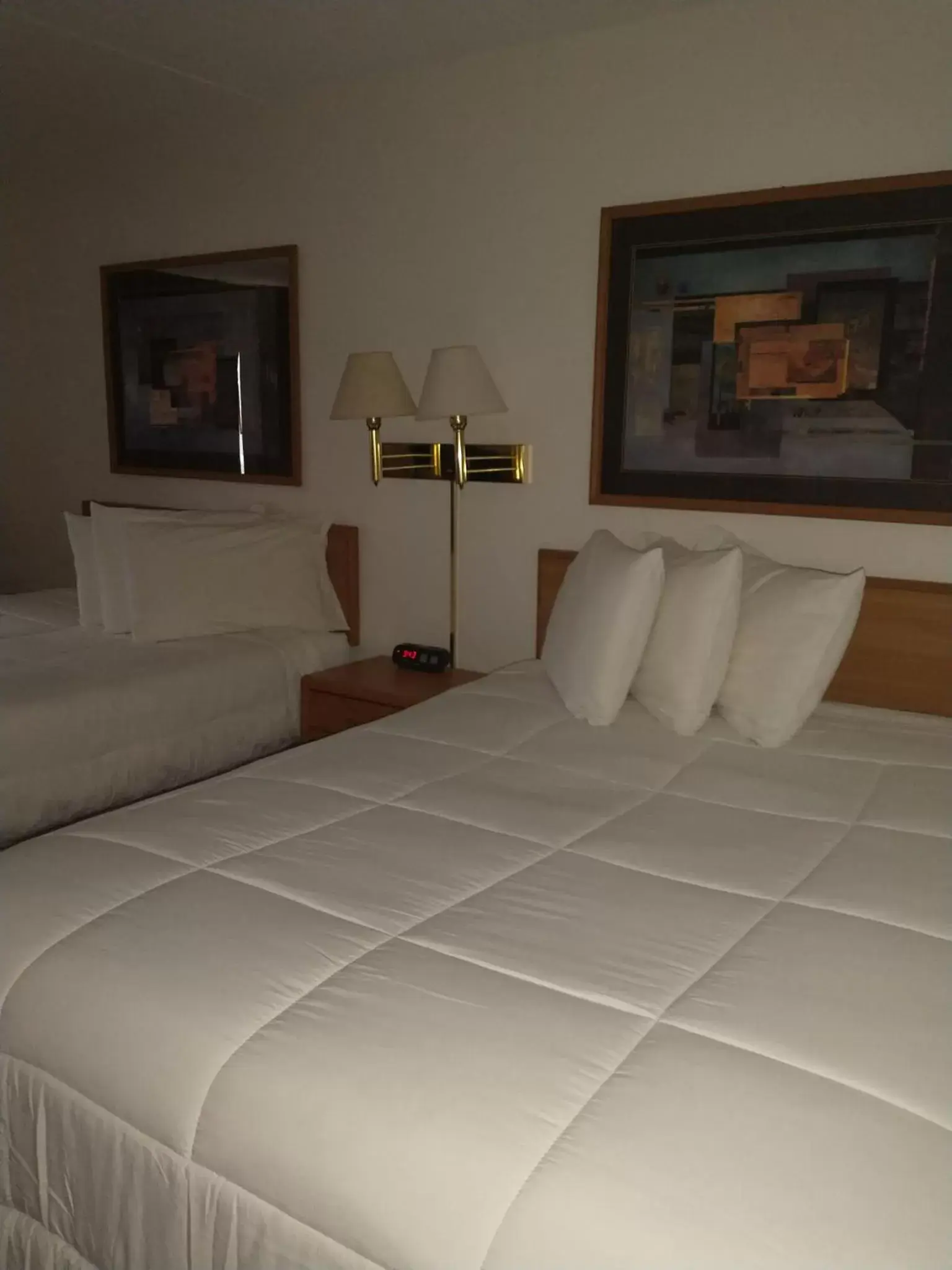 Bed in Americas Best Value Inn Sauk Centre