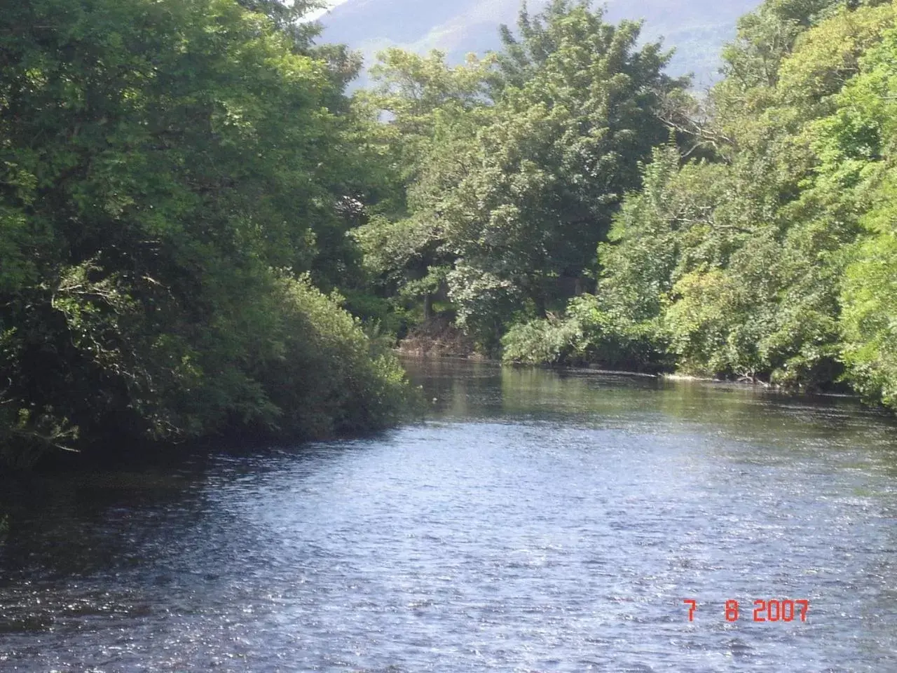 Natural landscape, Lake View in Crystal Springs B&B