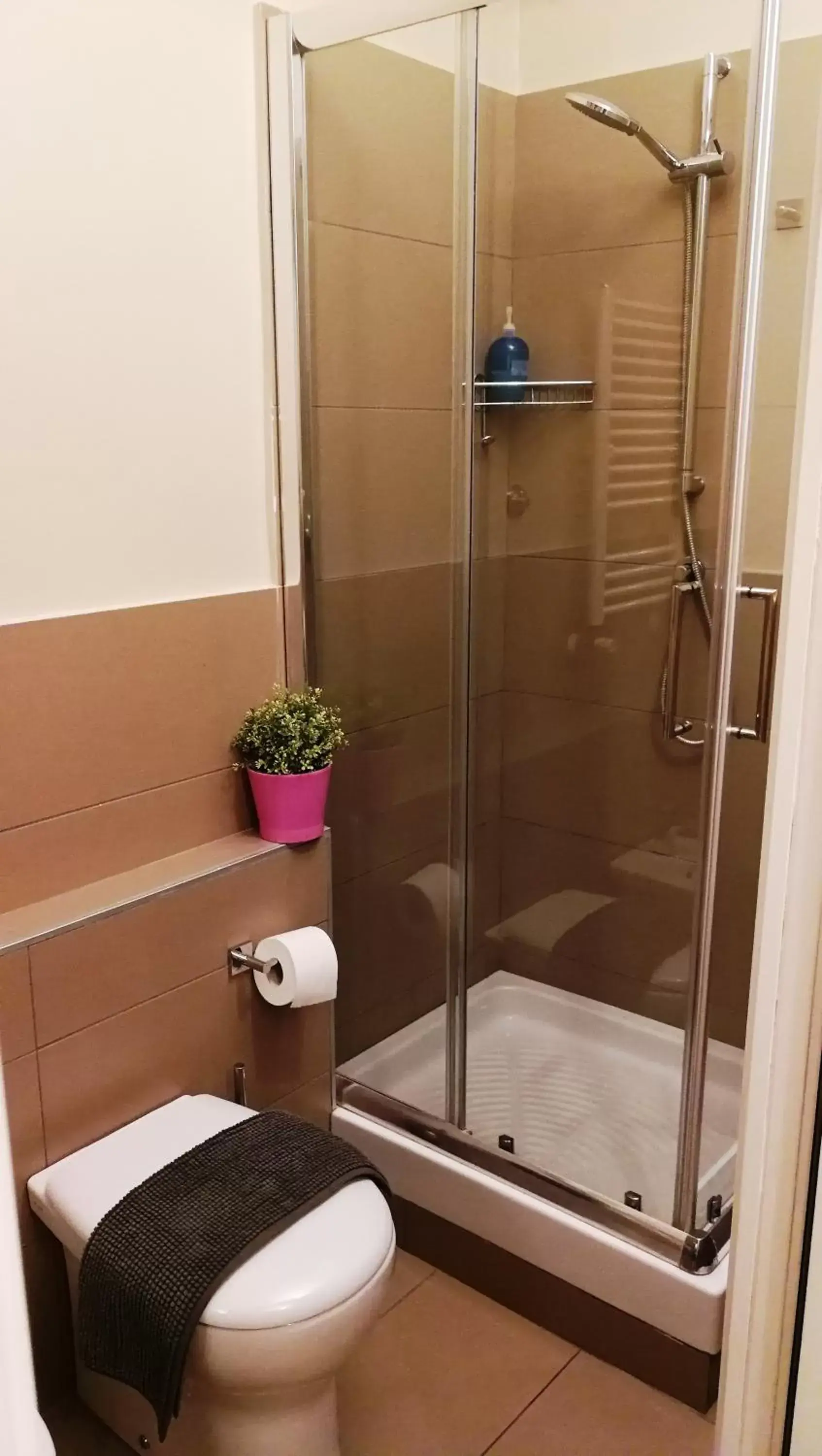 Shower, Bathroom in B&B Donna Adelina