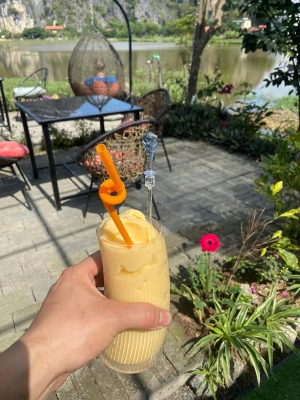 Tam Coc Mountain View Homestay