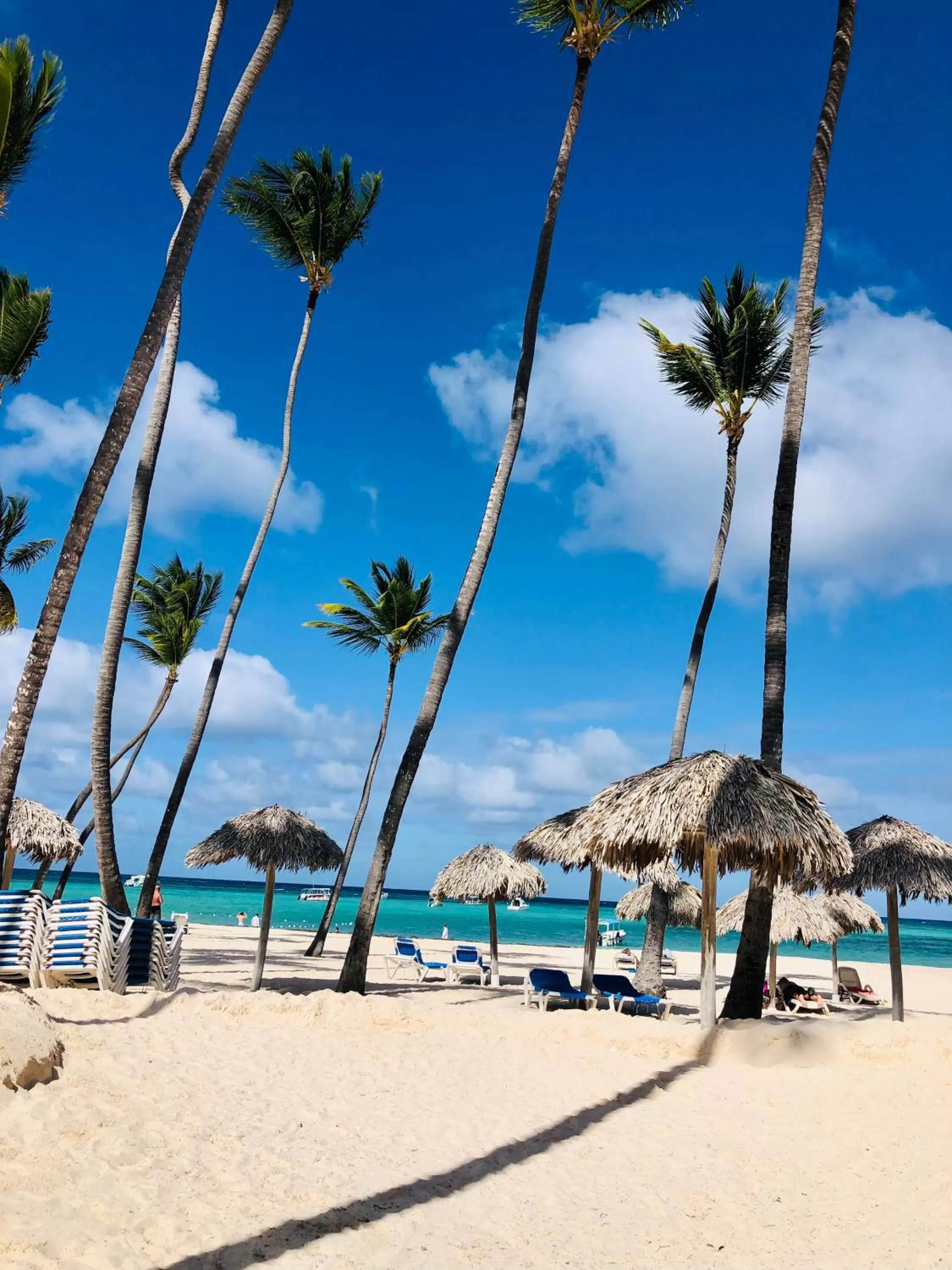 Beach in Los Corales Luxury Villas Beach Club and Spa