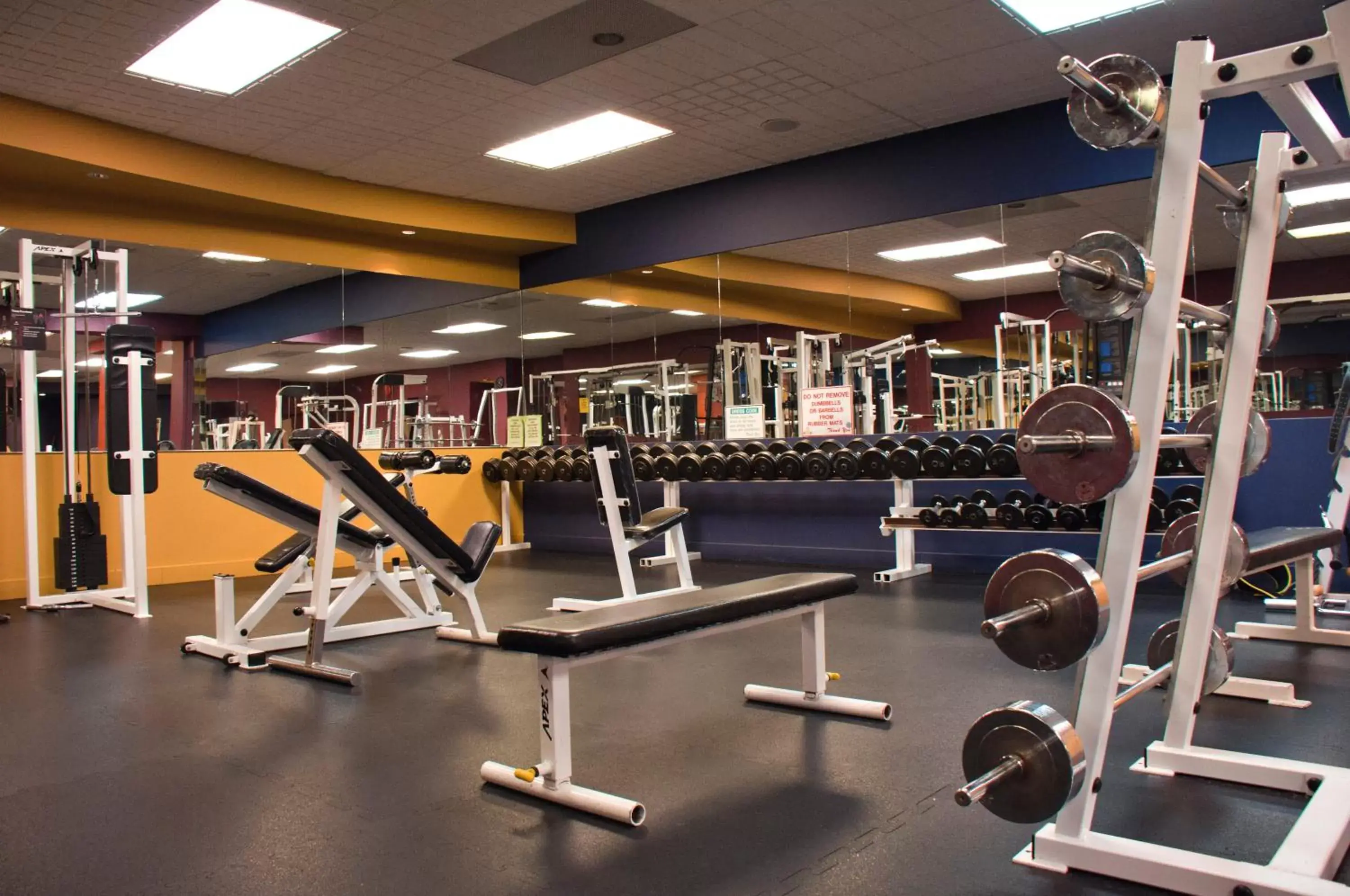 Fitness centre/facilities in Radisson Hotel & Suites Red Deer