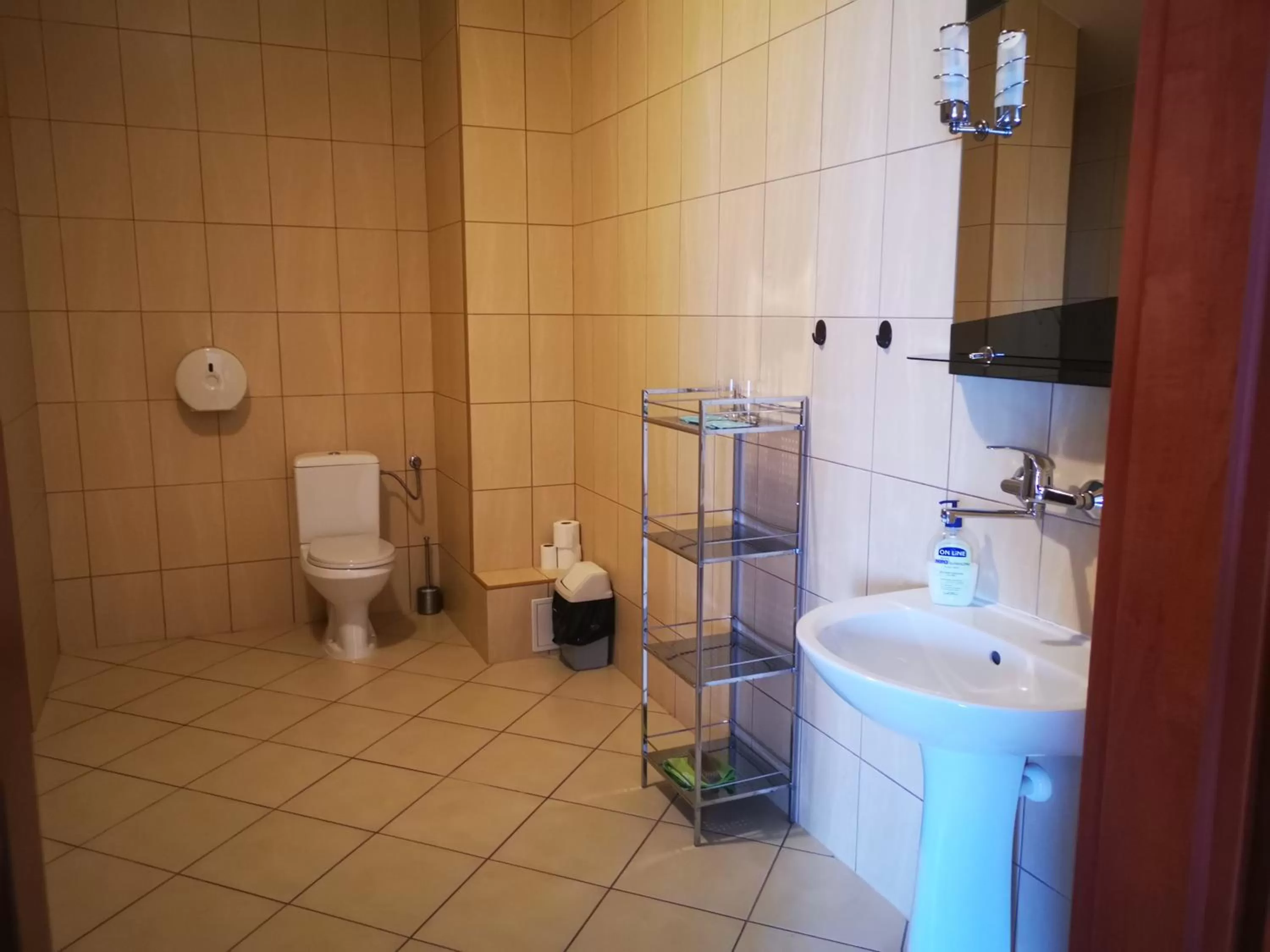 Shower in Hotel i Restauracja Bona