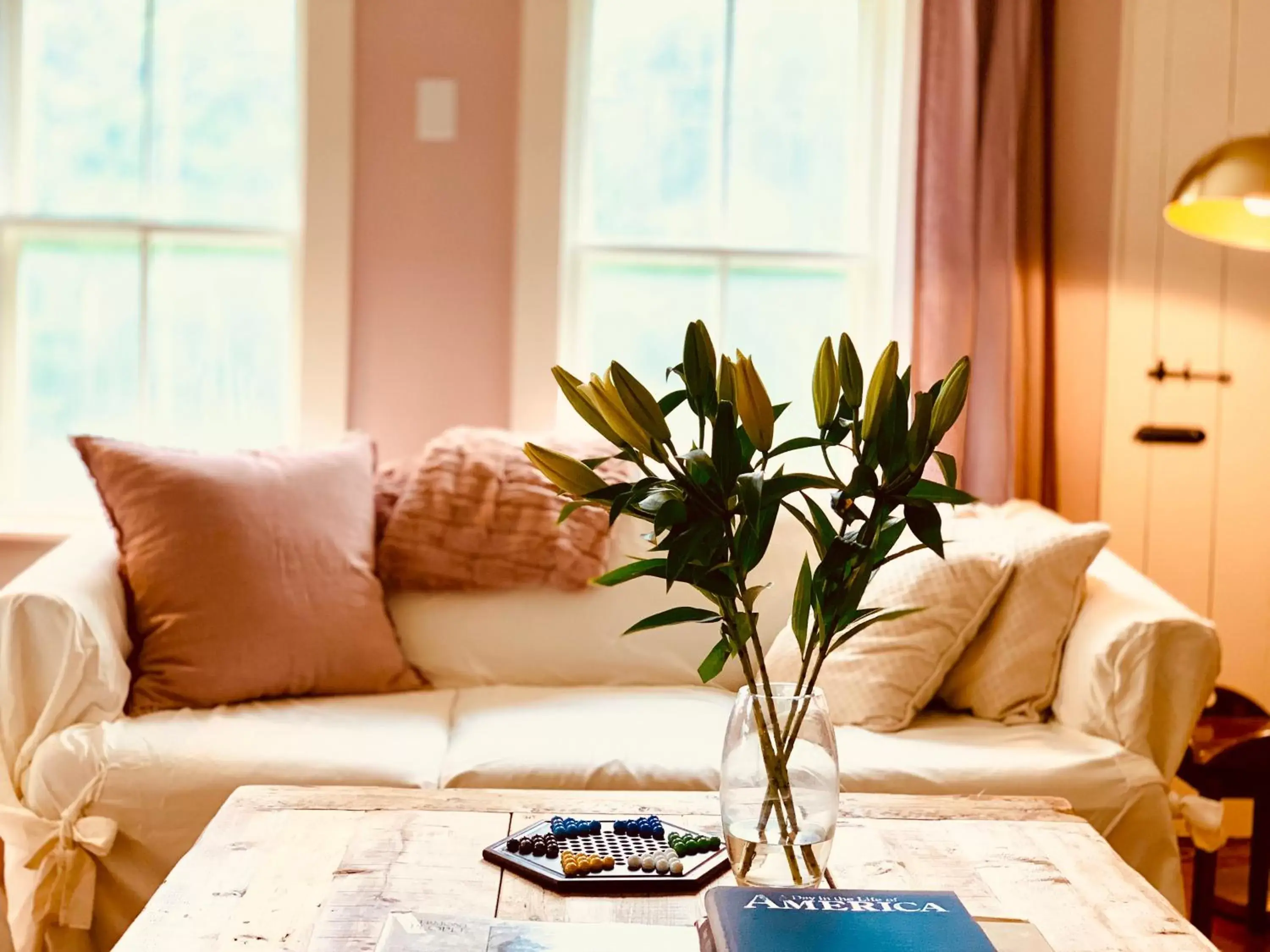 Living room in The Nutmeg Vermont Living room in The Nutmeg Vermont