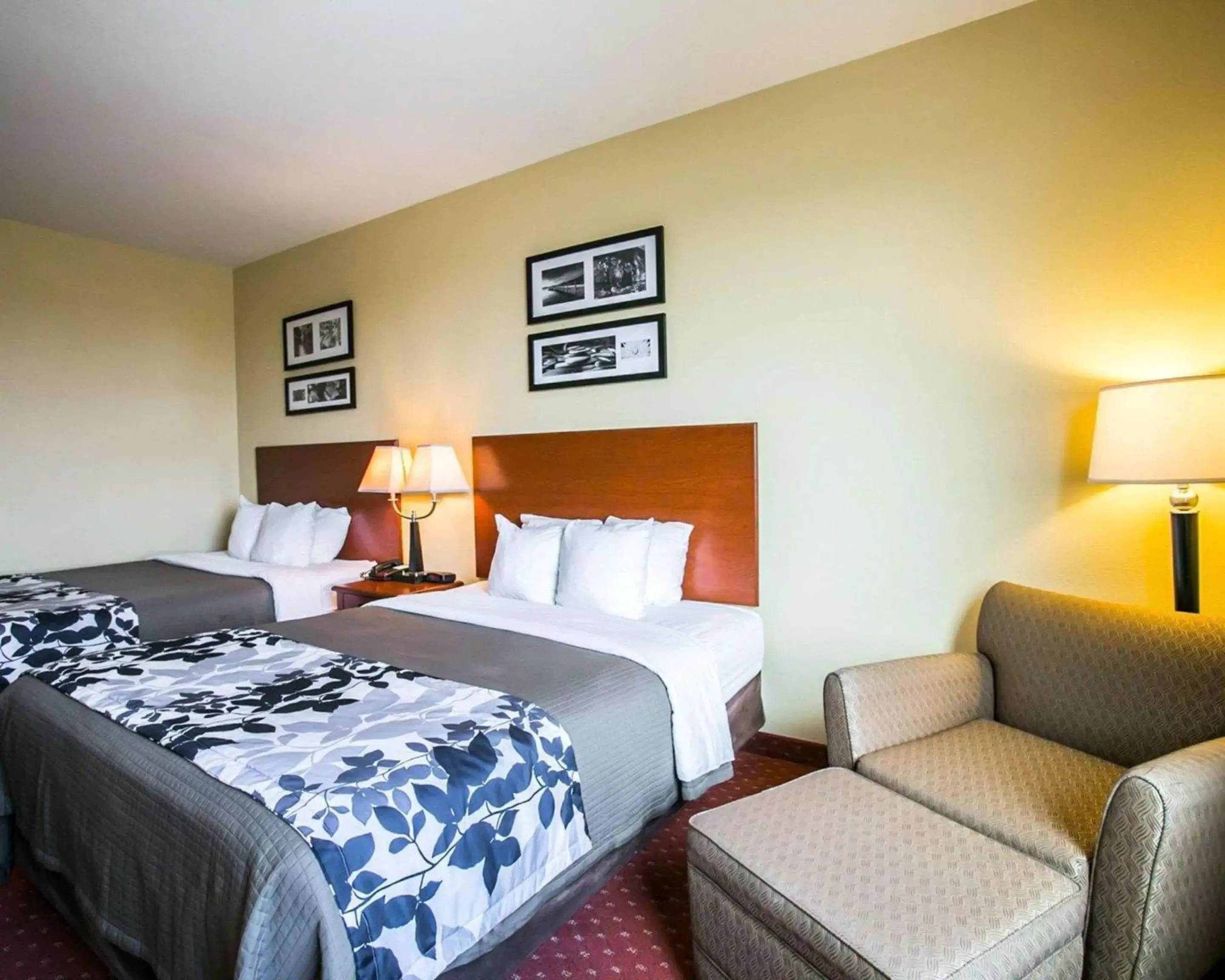 Photo of the whole room, Bed in Sleep Inn & Suites New Braunfels