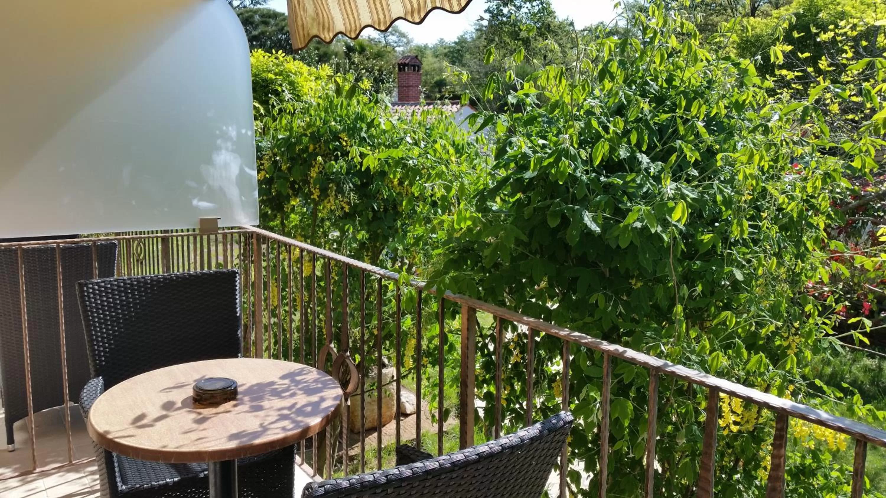 Balcony/Terrace in Hotel Zlatna Vala