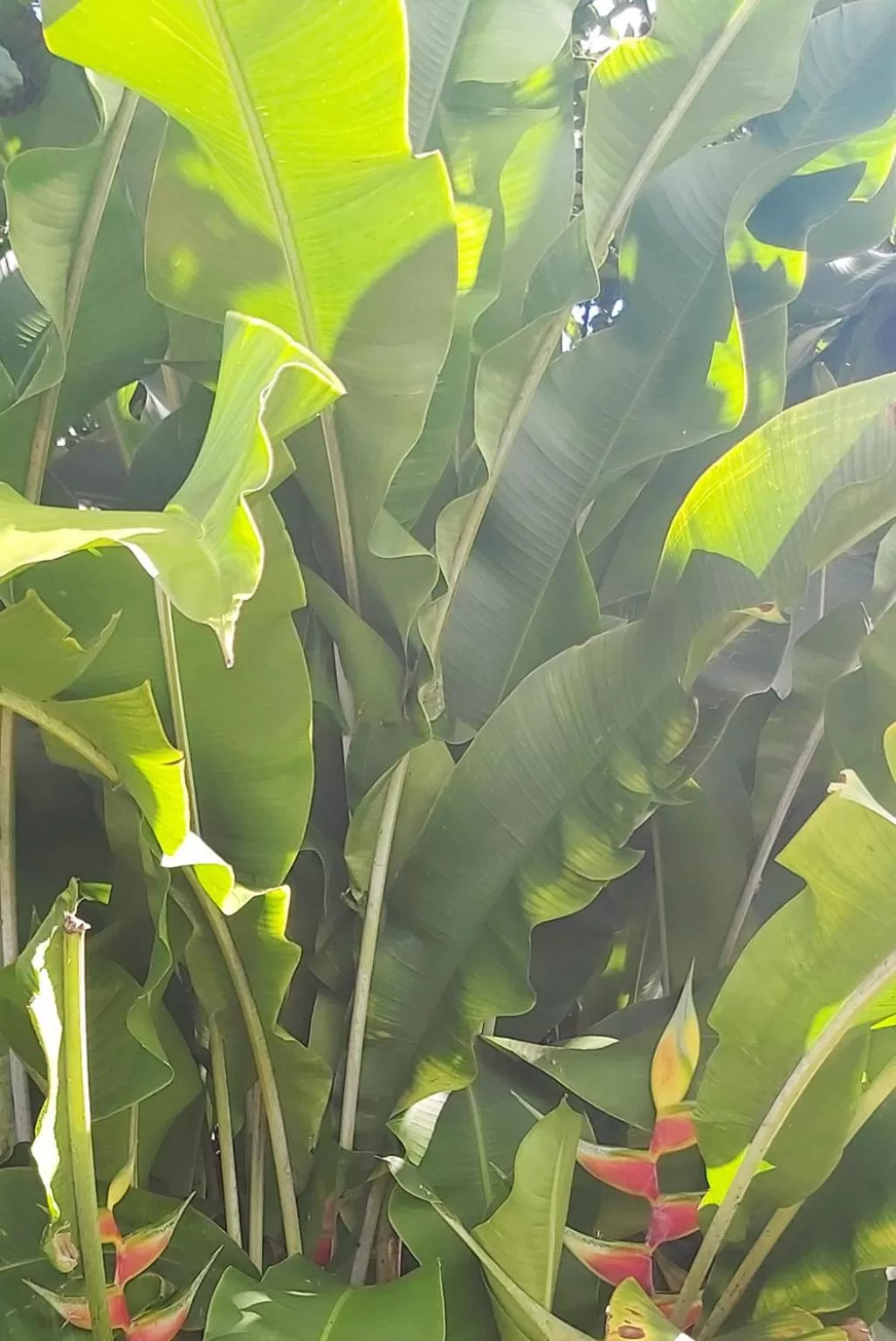 Natural landscape in Balsora Hotel Boutique