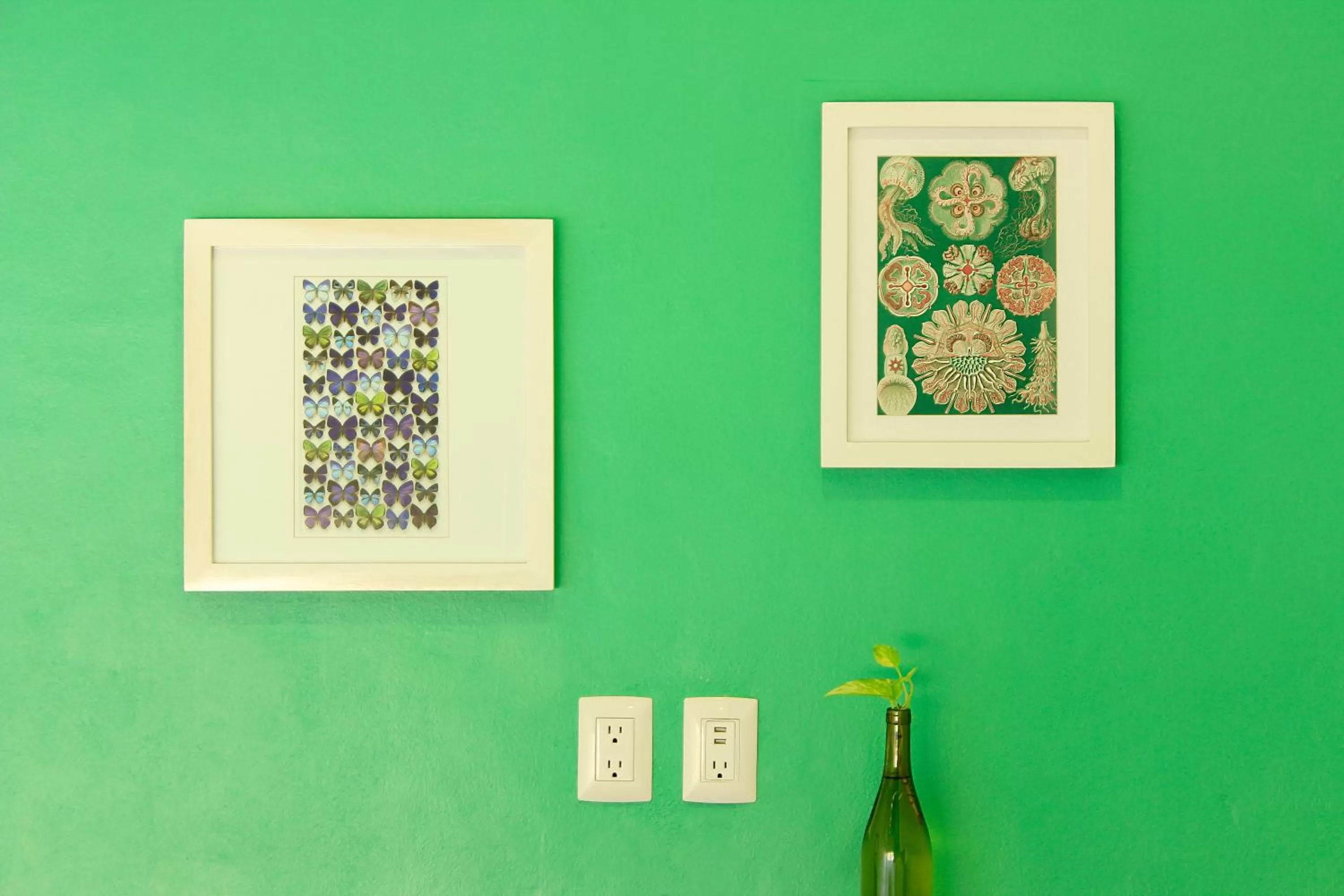 Decorative detail in La Palmita Budget Boutique Hotel