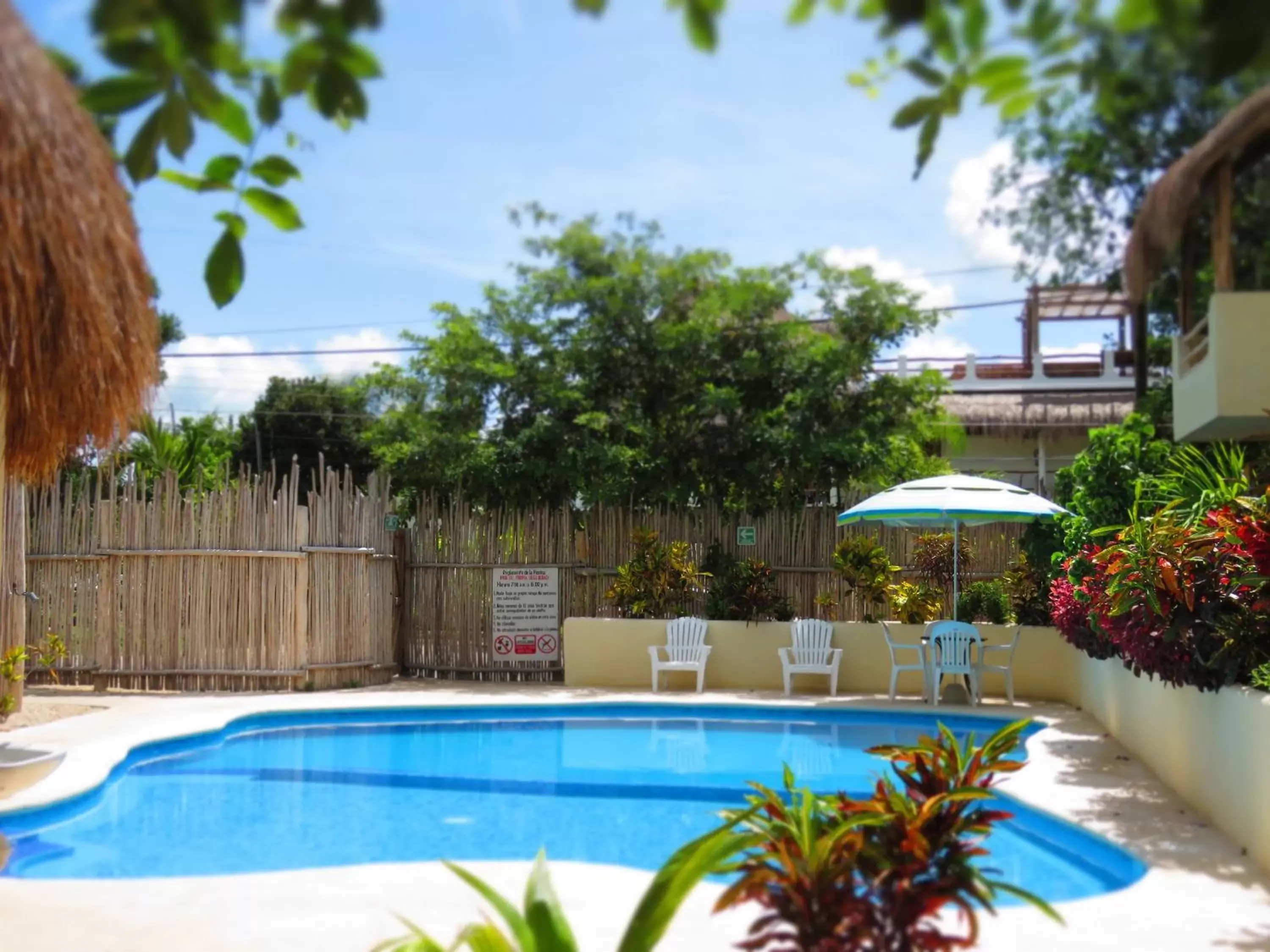 Swimming Pool in Hotel & Suites Oasis Bacalar