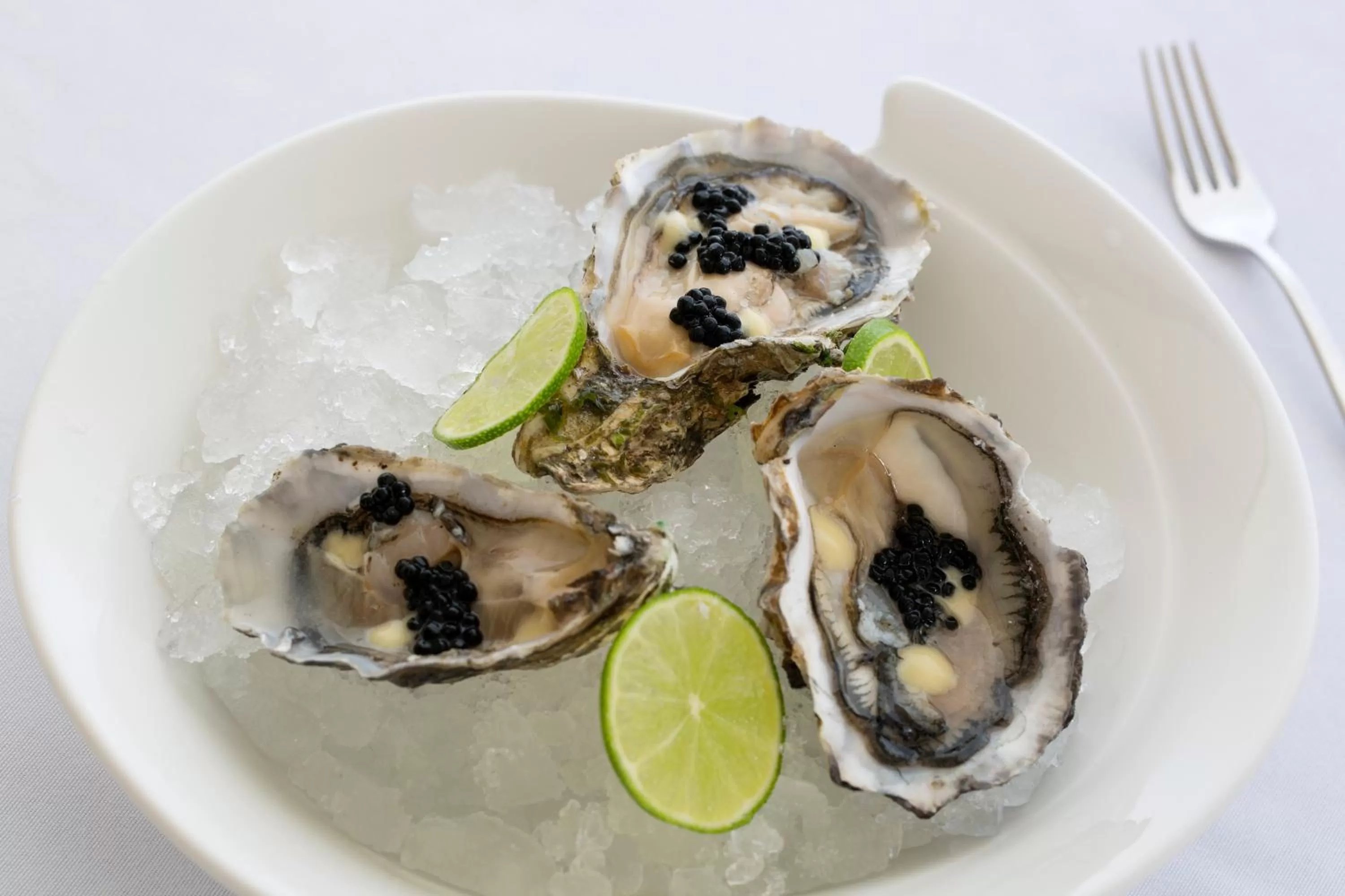 Food and drinks in Royalton Riviera Cancun, An Autograph Collection All-Inclusive Resort & Casino