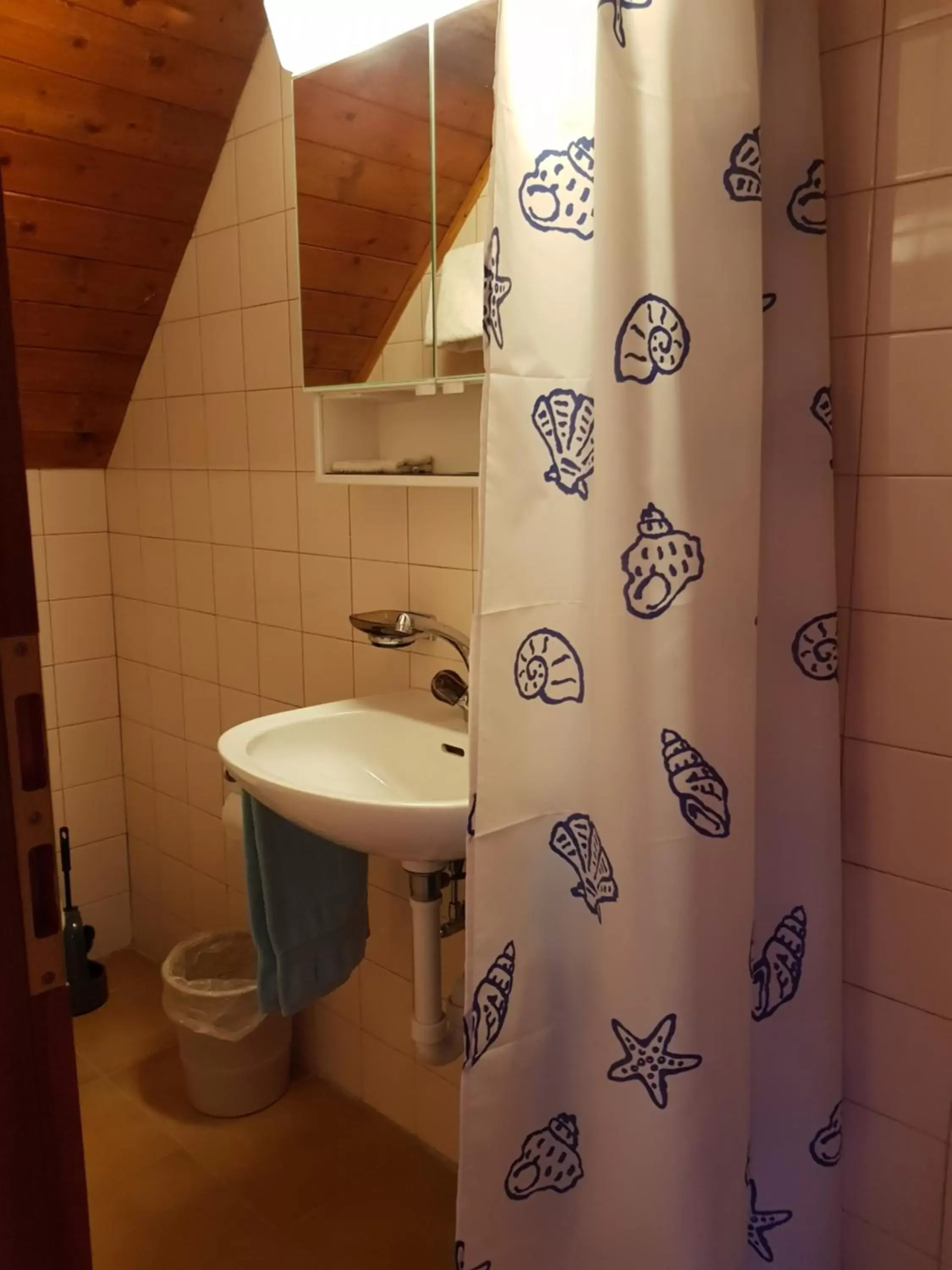 Bathroom in Garni-Hotel Mühletal
