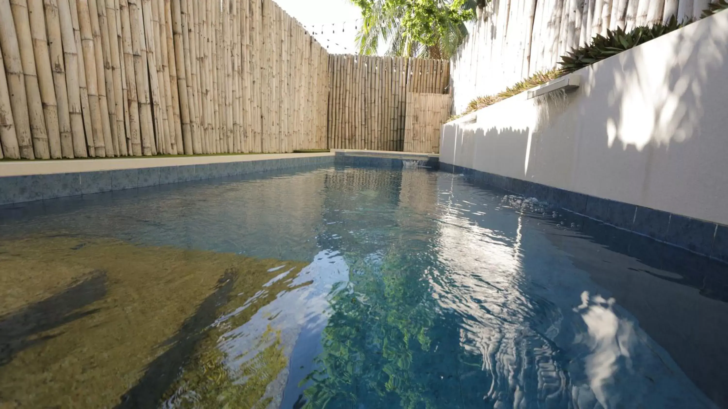 Swimming pool in Treetop Suites Swimming pool in Treetop Suites