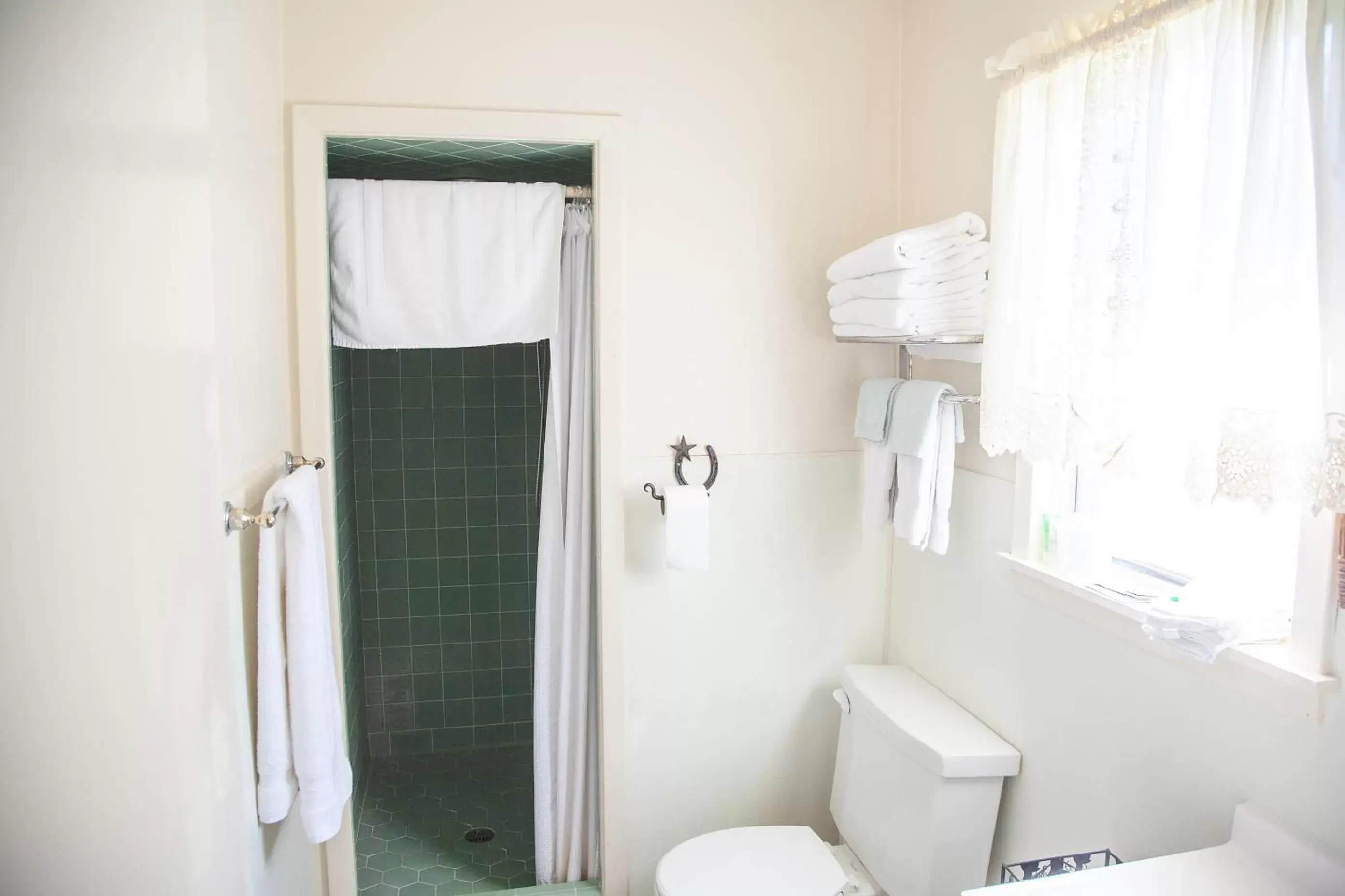 Bathroom in Shiner Country Inn